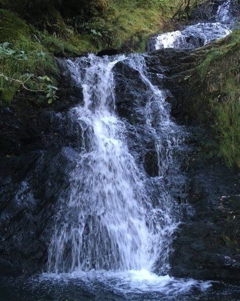 Waterfall Walk in Towy Valley