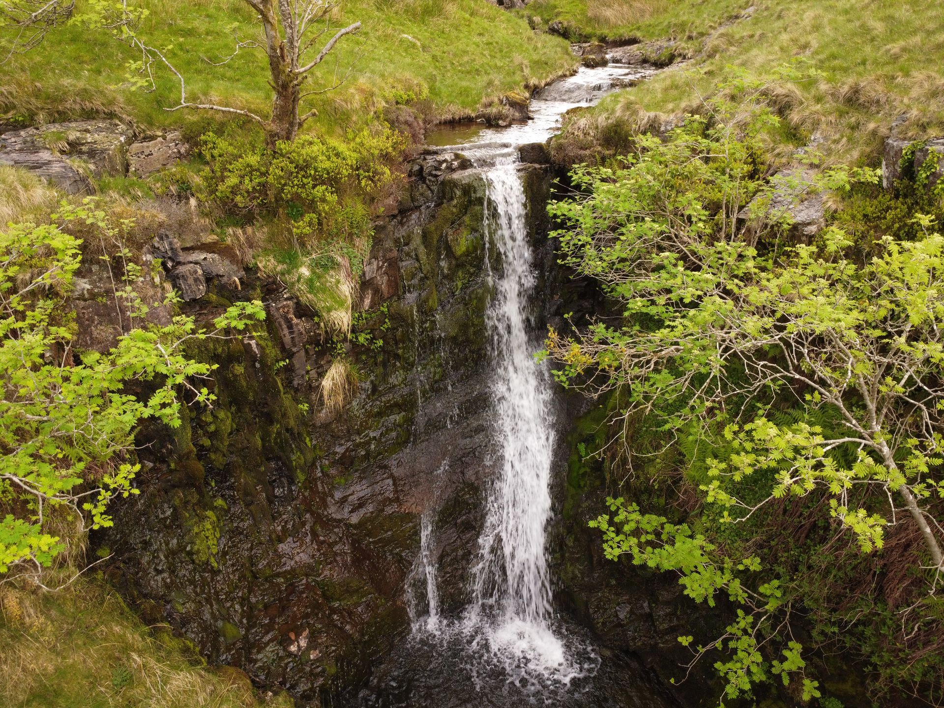 Nant y llyn