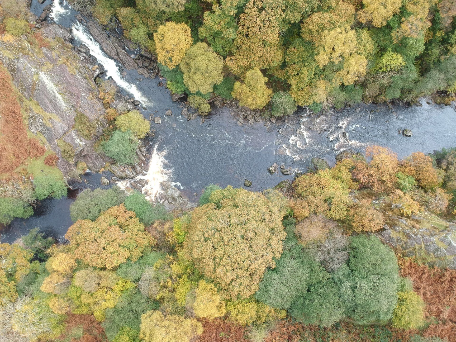 the Towy at Rhandirmwyn