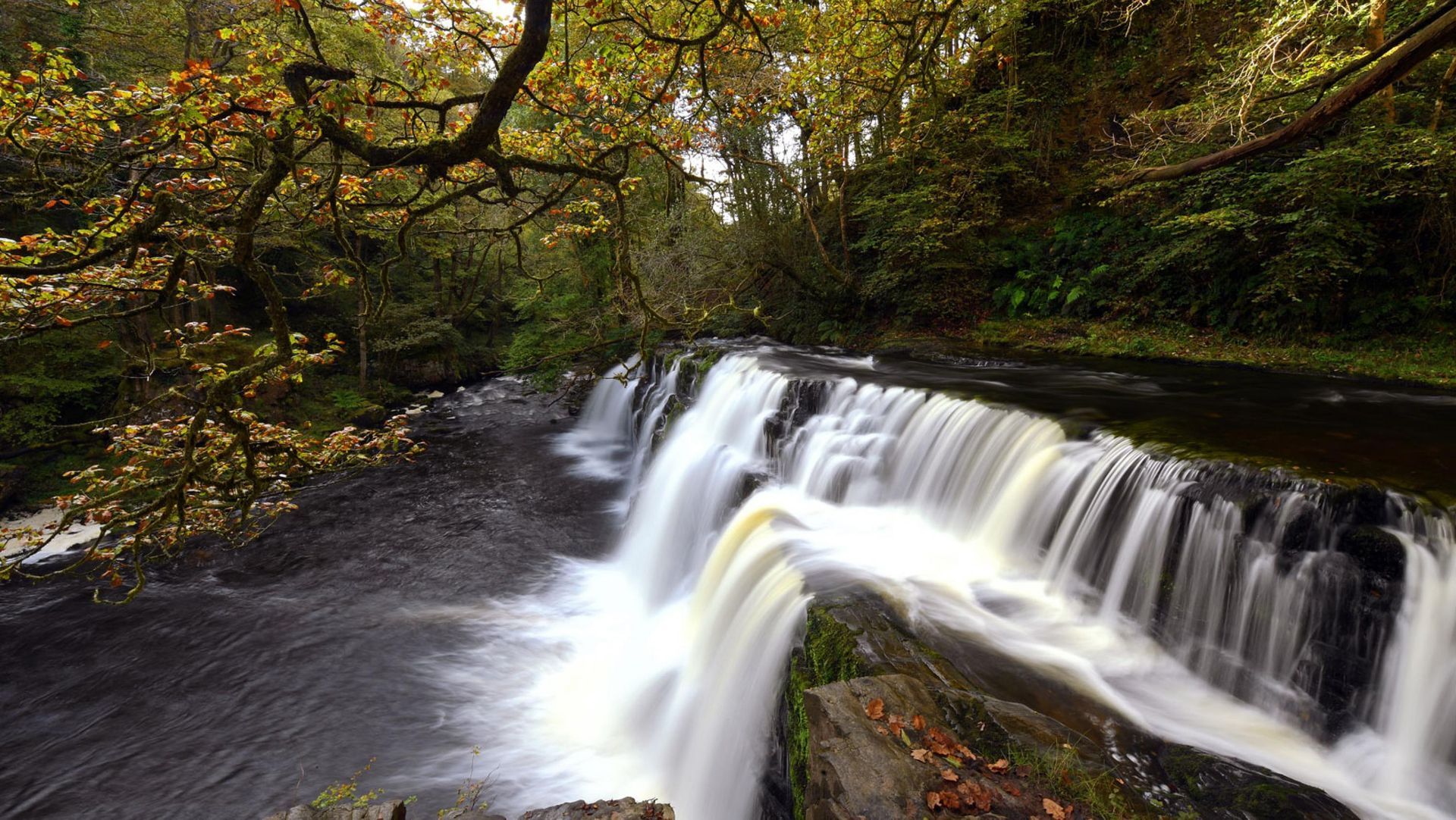 Sgwyd y Pannwr