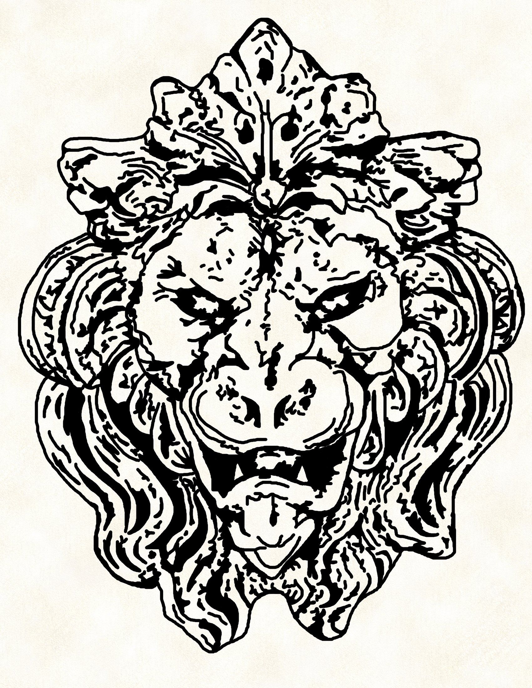 Lion Head Image