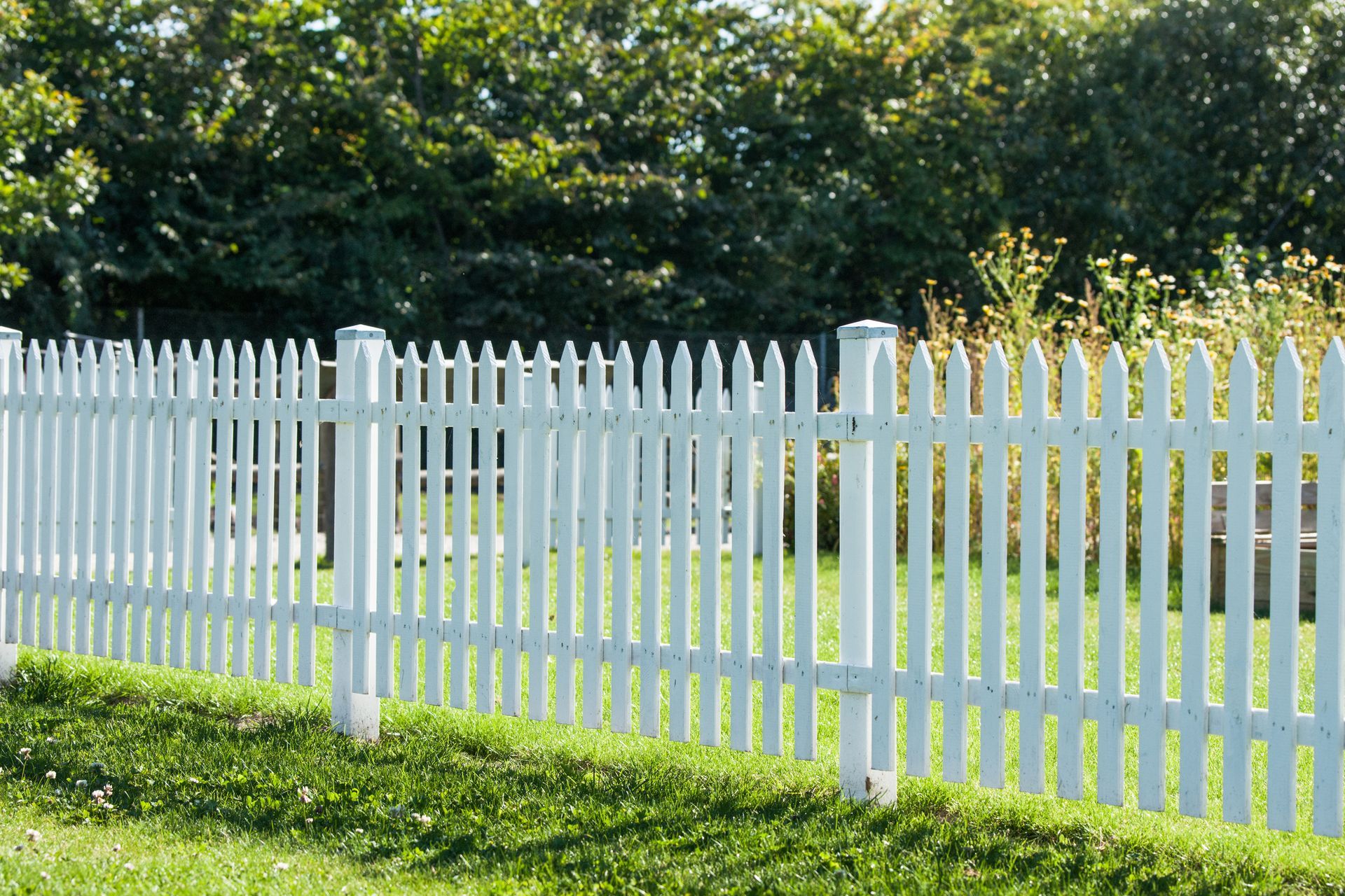 White picket fence in a grassy yard, with trees in the background.