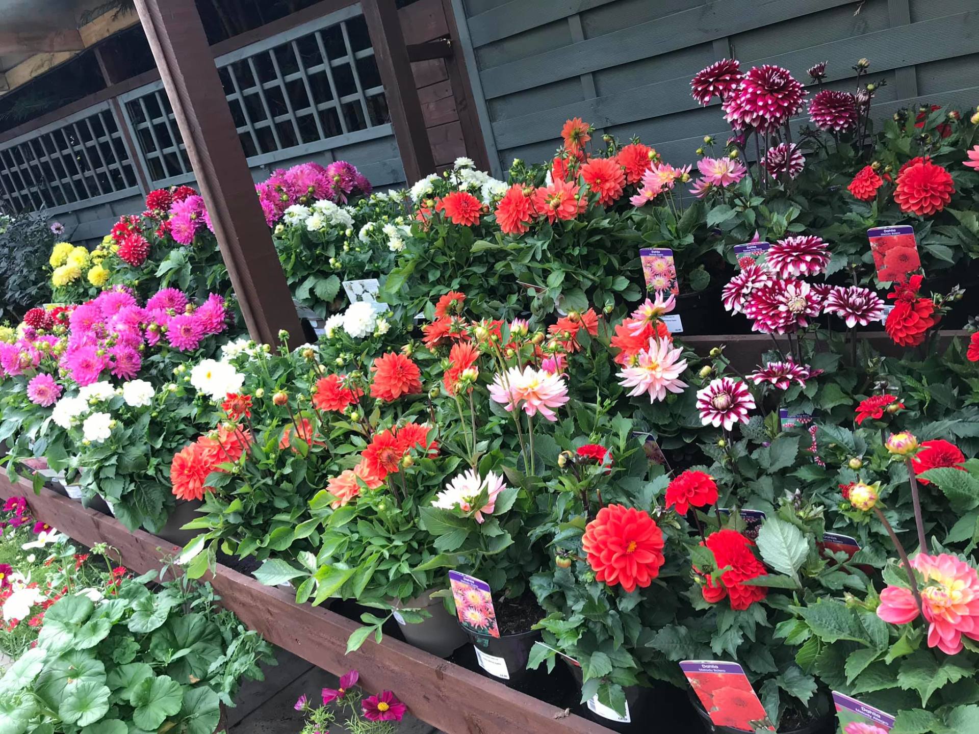 Valleyside Garden Centre Your traditional garden centre in Sheffield