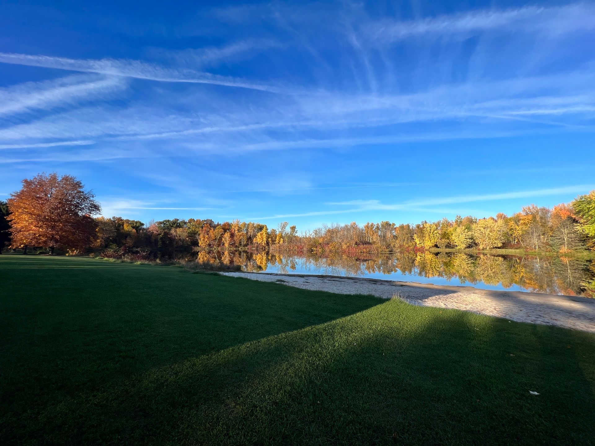 A lake surrounded by trees and grass on a sunny day