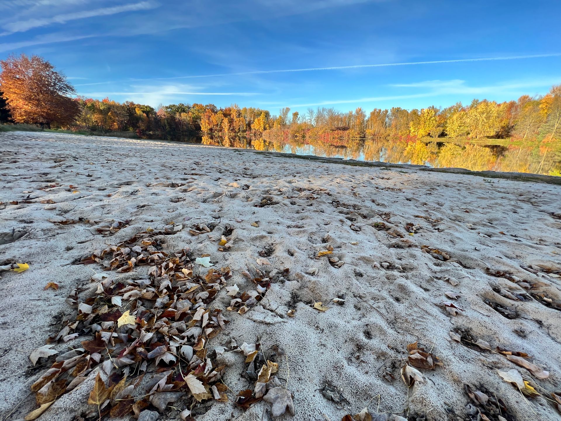 There is a lot of snow on the ground and leaves on the ground.