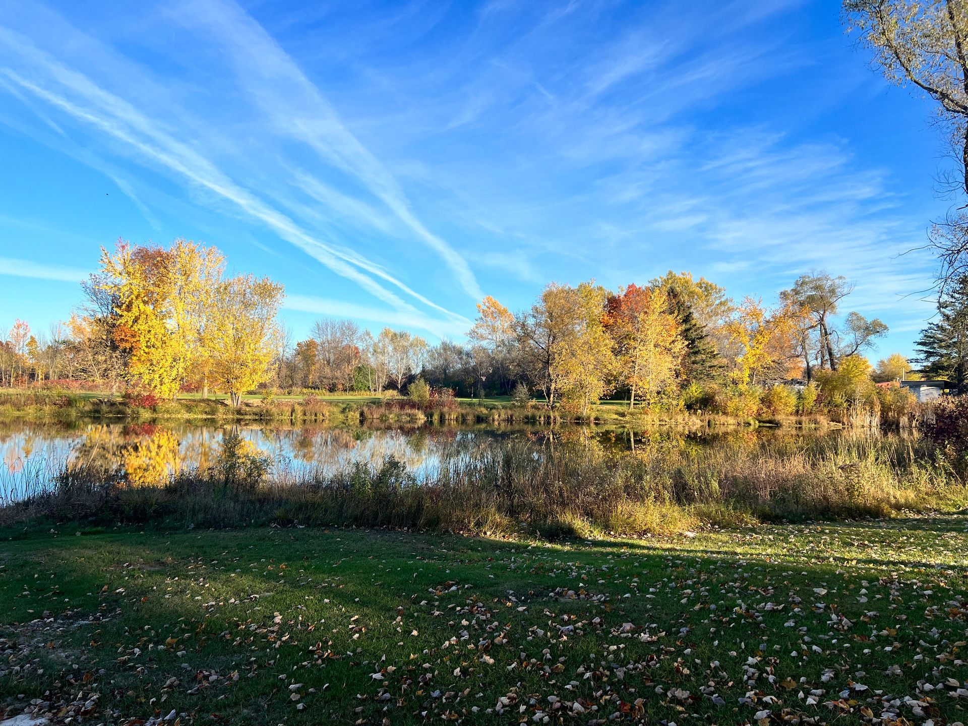 A lake surrounded by trees and grass on a sunny day