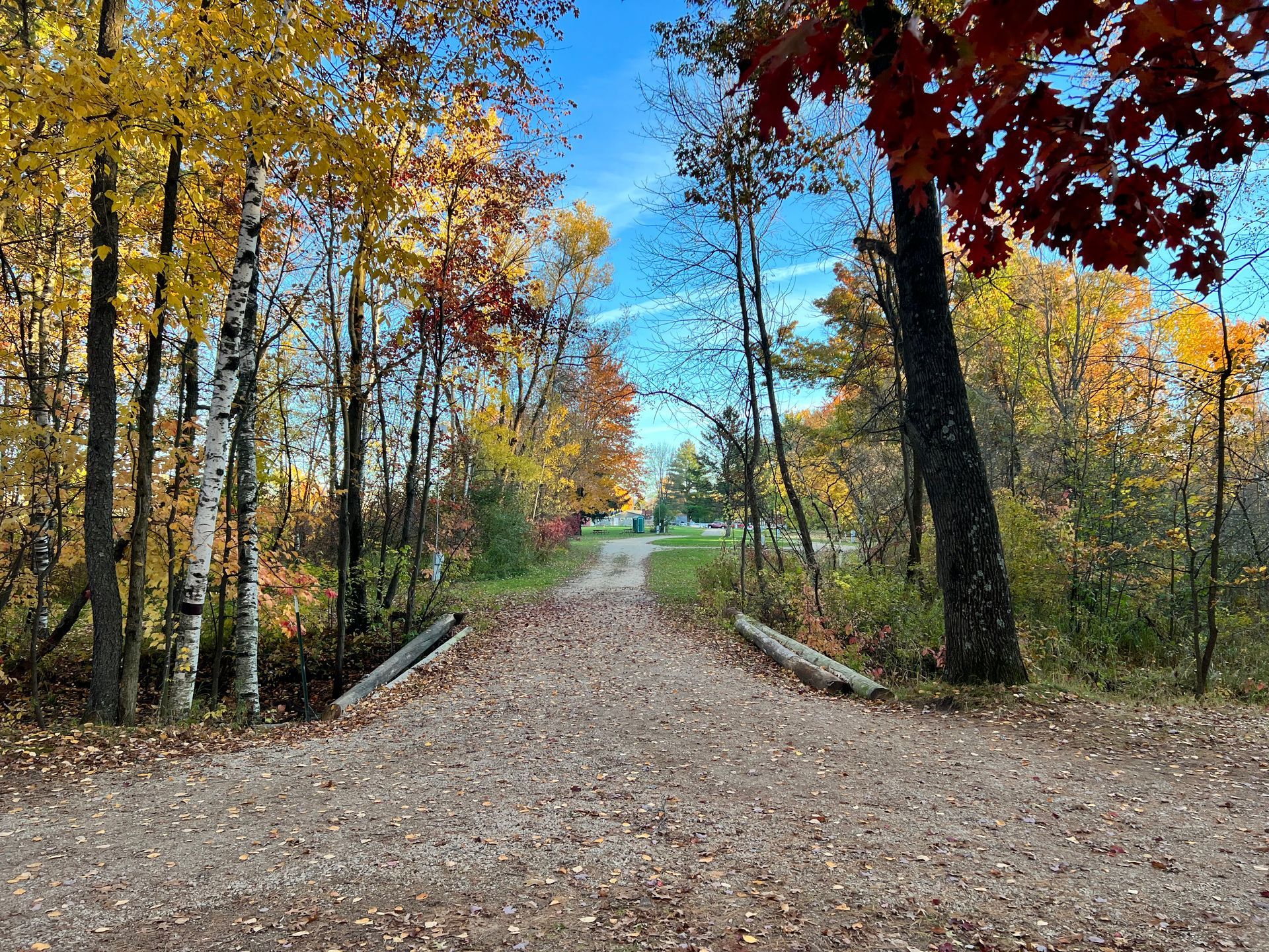 A dirt road going through a forest with trees covered in leaves.