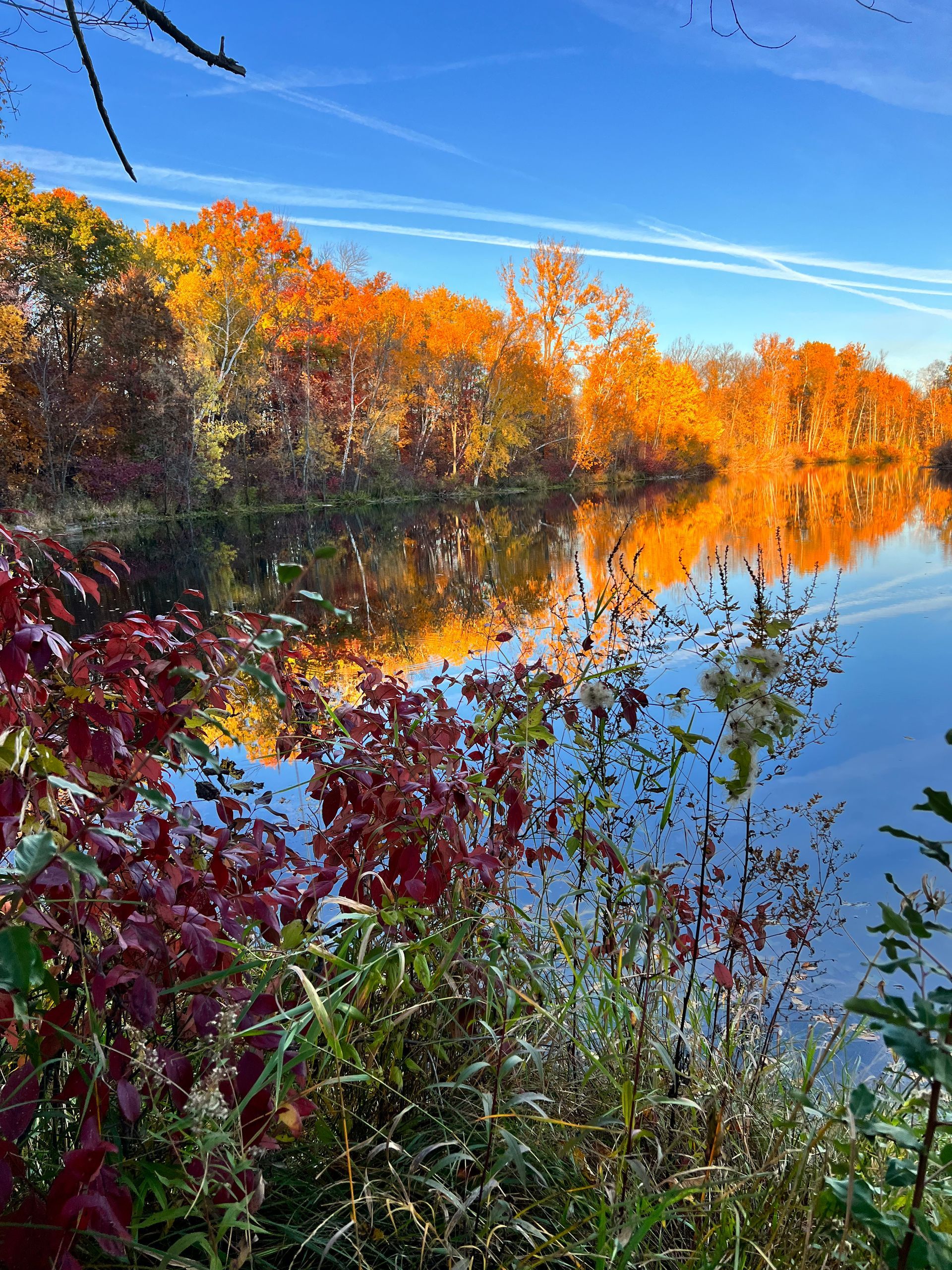 A lake surrounded by trees with autumn leaves on them