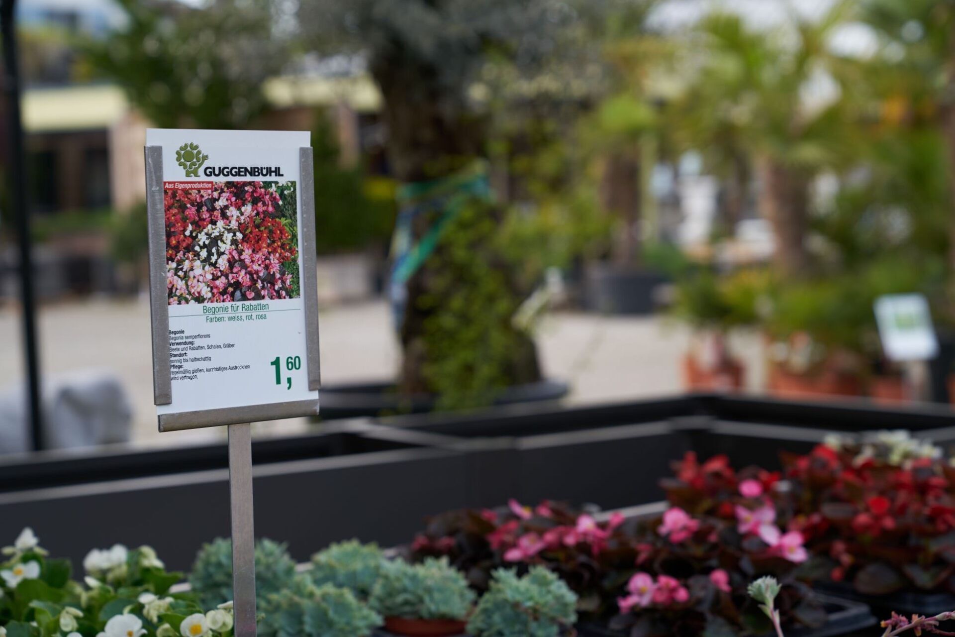 Ein Schild mit dem Bild einer Blume in einem Gartencenter.