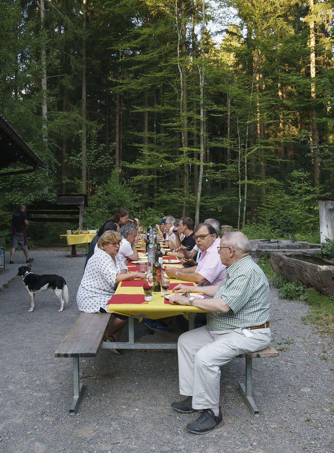 Eine Gruppe von Leuten sitzt an einem langen Tisch im Wald.