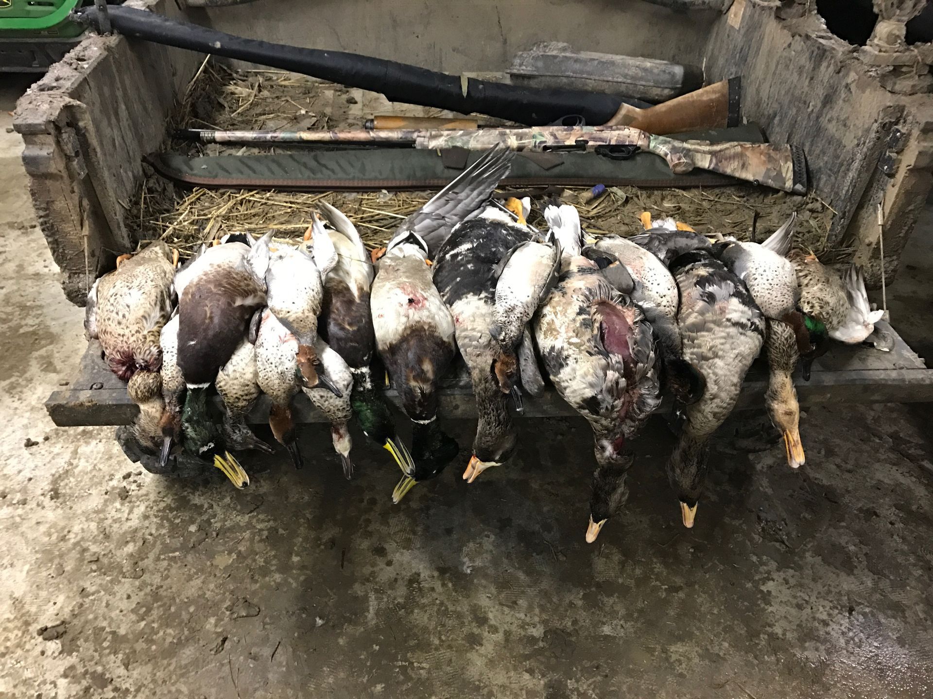 Duck Hunting Lodge Missouri