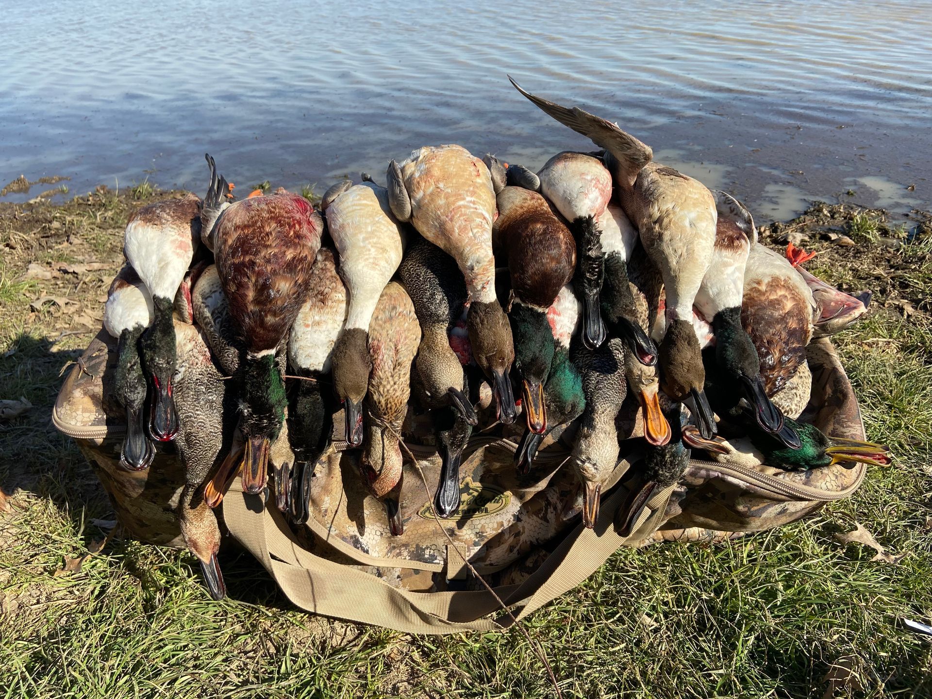 Self-Guided Duck Lodge SE Missouri