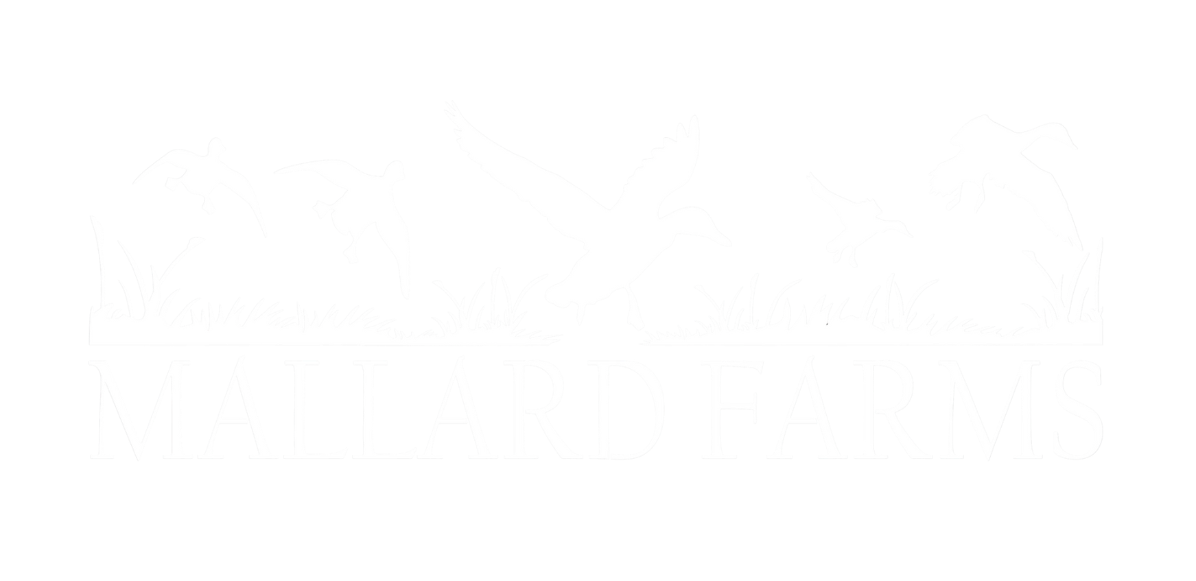 Mallard Farms of SE Missouri Logo