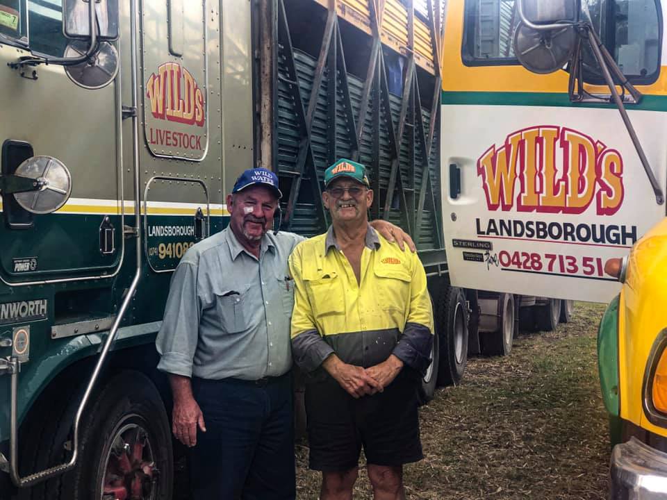 About Us Wild’s Livestock Transport