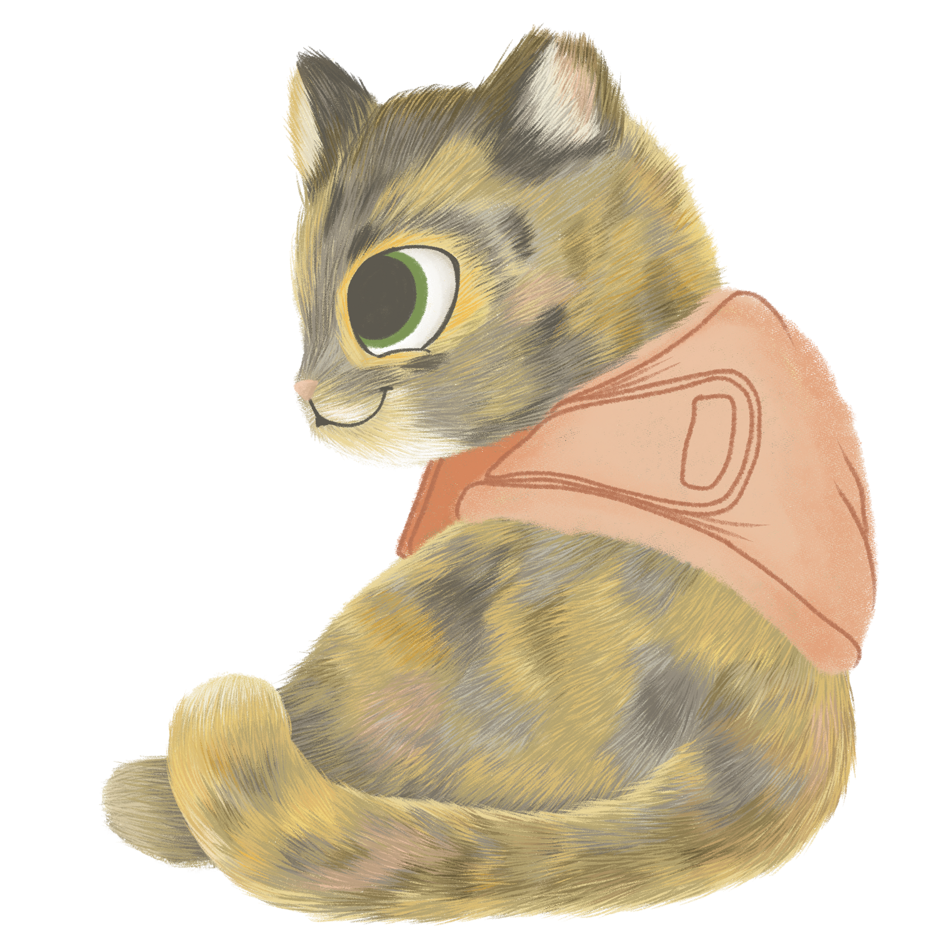 Tortoiseshell cat wearing a pink jacket, seated, looking left with a small smile.