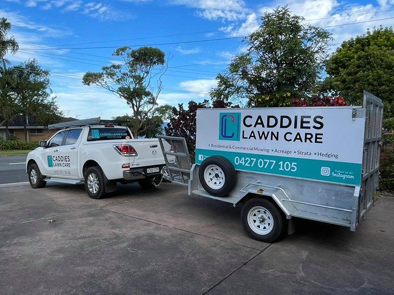 Professional Lawn Mower — Lawn Care in Coffs Harbour, NSW
