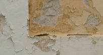 Cracked plaster