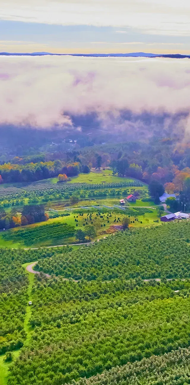 Green Mountain Orchards Inc