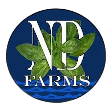 No Dirt Frams homepage