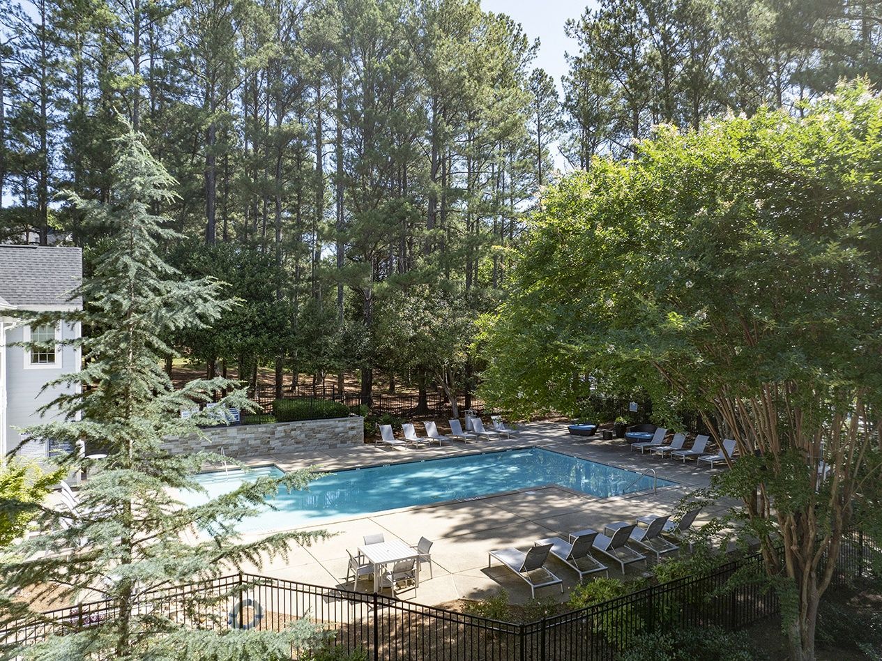 Outdoor community pool surrounded by sun loungers and trees.