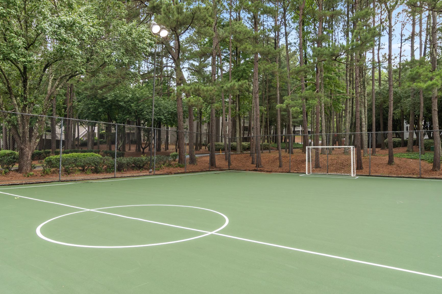 Outdoor sports court surrounded by trees