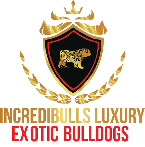 incredibulls luxury exotic bulldogs logo