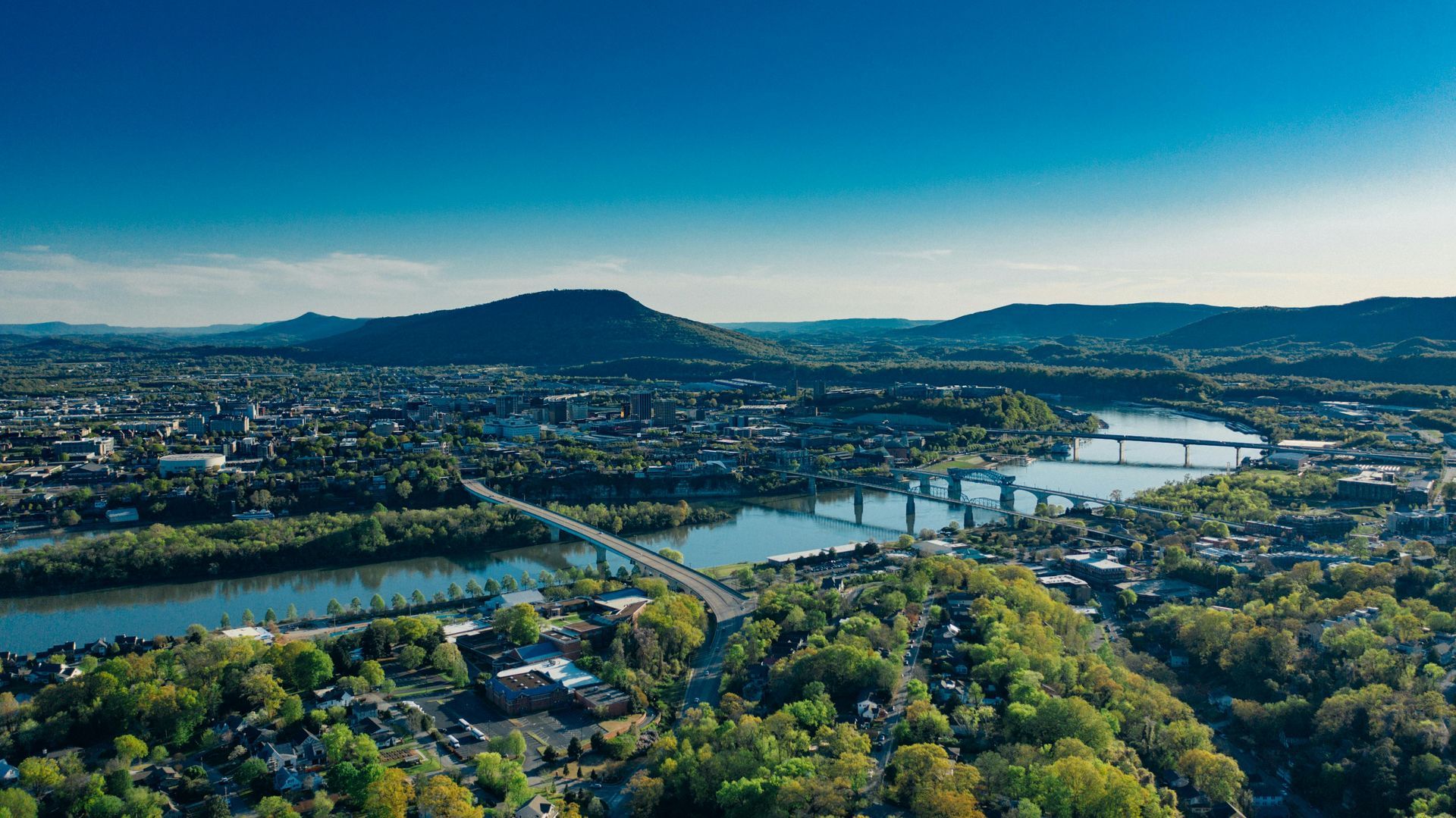Get wildlife control in Chattanooga, TN with Edge Wildlife Removal