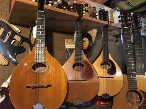 Mandolin Style Guitar - Ottsville, PA - Tinicum Guitar Barn