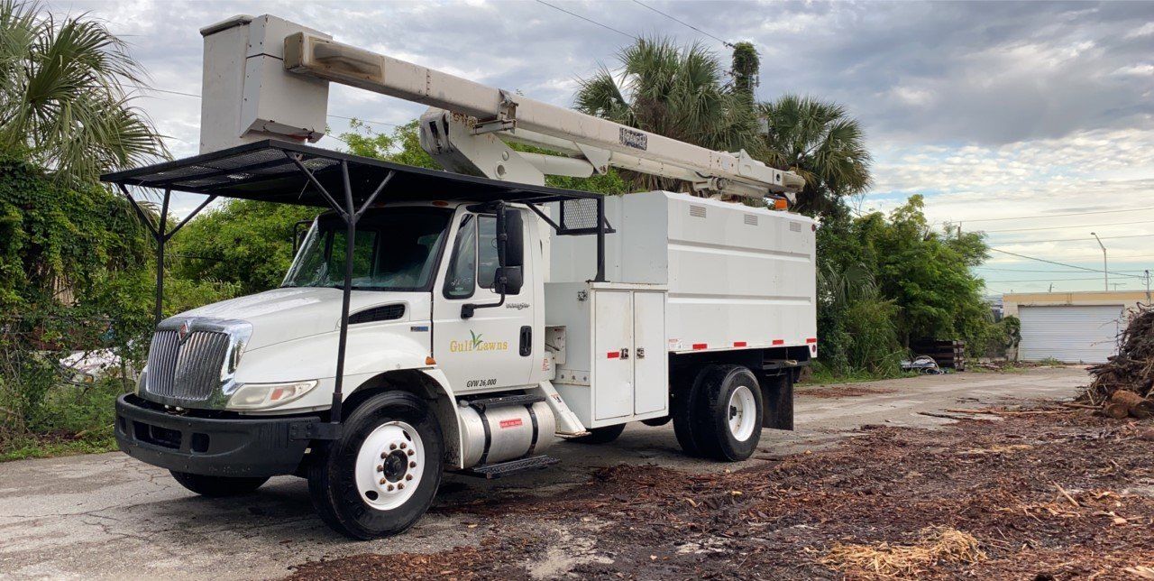 Tree removal service - Tree company in Fort Myers, FL