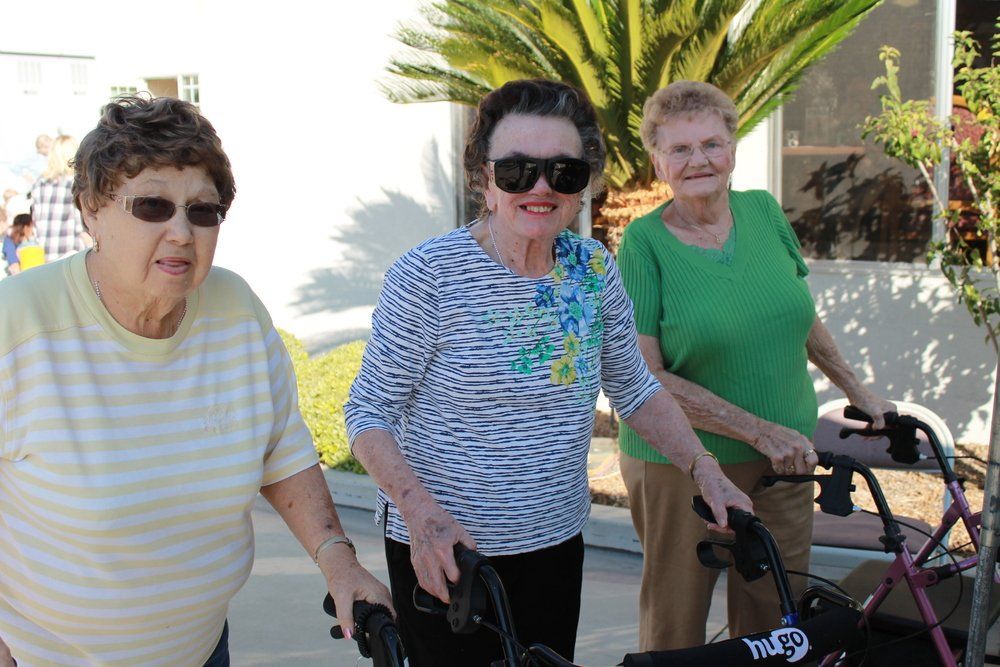 Three elderly women all using walkers.