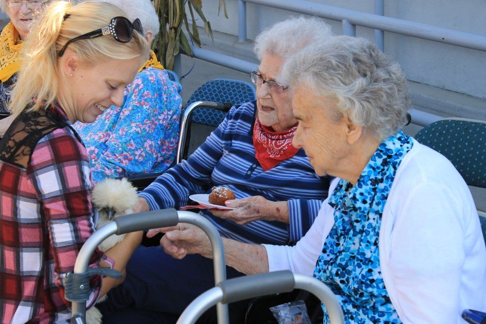 Two elderly women sit and talk with another woman.