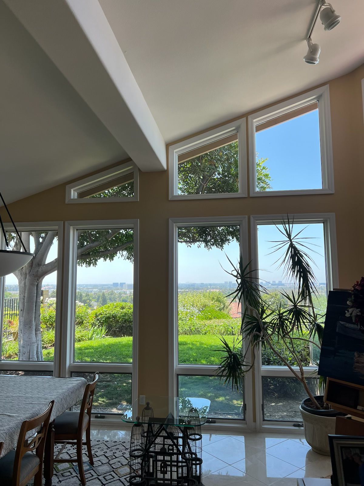 North Tustin CA, Foothill Ranch CA, Lake Forest CA, Rancho Santa Margarita CA, Mission Viejo CA, Aliso Viejo CA, Laguna Beach CA, Ladera Ranch CA, Rancho Mission Viejo CA, Clear View Window Care, Garden Grove CA, Huntington Beach CA, Yorktown Huntington Beach CA, Sunset Beach Huntington Beach CA, Corona Del Mar Newport Beach CA, Newport Beach CA, Balboa Island Newport Beach CA, Balboa Peninsula Newport Beach CA, Lido Isle CA, San Joaquin Hills CA, Costa Mesa CA, Belmont Shore Long Beach CA, Tustin CA, Irvine CA, Westminster CA, Fountain Valley CA, Seal Beach CA, Costa Mesa CA, Eastside Costa Mesa Costa Mesa CA, Westside Costa Mesa Costa Mesa CA, Window Cleaning, Orange County Window Cleaning, Garden Grove Window Cleaning, Huntington Beach Window Cleaning, Corona Del Mar Window Cleaning, Newport Beach Window Cleaning, San Joaquin Hills Window Cleaning, Costa Mesa Window Cleaning, Belmont Shores Window Cleaning, Tustin Window Cleaning, Irvine Window Cleaning, Westminster Window Cleaning, Fountain Valley Window Cleaning, Seal Beach Window Cleaning, Costa Mesa Window Cleaning, Window Cleaning Company, Residential Window Cleaning Company, Commercial Window Cleaning Company, Residential Window Cleaning, Commercial Window Cleaning, Window Cleaning Near Me, Window Cleaners Near Me, Screen Replacement, Orange County Screen Replacement, Garden Grove Screen Replacement, Huntington Beach Screen Replacement, Corona Del Mar Screen Replacement, Newport Beach Screen Replacement, San Joaquin Hills Screen Replacement, Costa Mesa Screen Replacement, Belmont Shores Screen Replacement, Tustin Screen Replacement, Irvine Screen Replacement, Westminster Screen Replacement, Fountain Valley Screen Replacement, Seal Beach Screen Replacement, Costa Mesa Screen Replacement, Screen Replacement Near Me, Window Screen Replacement, Window Screen Replacement Near Me, Door Screen Replacement, Door Screen Replacement Near Me, Residential Gutter Cleanout, Gutter Cleaning Near Me, Orange County Gutter Cleaning, Garden Grove Gutter Cleaning, Huntington Beach Gutter Cleaning, Corona Del mar Gutter Cleaning, Newport Beach Gutter Cleaning, San Joaquin Hills Gutter Cleaning, Costa Mesa Gutter Cleaning, Belmont Shores Gutter Cleaning, Tustin Gutter Cleaning, Irvine Gutter Cleaning, Westminster Gutter Cleaning, Fountain Valley Gutter Cleaning, Seal Beach Gutter Cleaning, Costa Mesa Gutter Cleaning, Residential Pressure Washing, Orange County Pressure Washing, Garden Grove Pressure Washing, Huntington Beach Pressure Washing, Corona Del Mar Pressure Washing, Newport Beach Pressure Washing, San Joaquin Hills Pressure Washing, Costa Mesa Pressure Washing, Belmont Shores Pressure Washing, Tustin Pressure Washing, Irvine Pressure Washing, Westminster Pressure Washing, Fountain Valley Pressure Washing, Seal Beach Pressure Washing, Costa Mesa Pressure Washing, Pressure Washing Near Me, House Wash, Pressure Washing Driveway, Pressure Washing Patio, Pressure Washing Walkway, Pressure Washing Sidewalk, Roof Cleaning, Solar Panel Cleaning, Residential Holiday Lighting, Commercial Holiday Lighting, Orange County Holiday Lighting, Garden Grove Holiday Lighting, Huntington Beach Holiday Lighting, Corona Del Mar Holiday Lighting, Newport Beach Holiday Lighting, San Joaquin Hills Holiday Lighting, Costa Mesa Holiday Lighting, Belmont Shores Holiday Lighting, Tustin Holiday Lighting, Irvine Holiday Lighting, Westminster Holiday Lighting, Fountain Valley Holiday Lighting, Seal Beach Holiday Lighting, Costa Mesa Holiday Lighting, Vinyl Fence Cleaning, Vinyl Fence Cleaning Near me