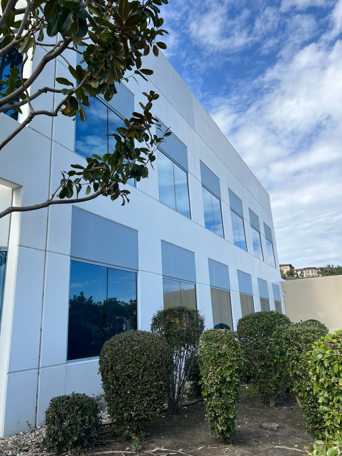 North Tustin CA, Foothill Ranch CA, Lake Forest CA, Rancho Santa Margarita CA, Mission Viejo CA, Aliso Viejo CA, Laguna Beach CA, Ladera Ranch CA, Rancho Mission Viejo CA, Clear View Window Care, Garden Grove CA, Huntington Beach CA, Yorktown Huntington Beach CA, Sunset Beach Huntington Beach CA, Corona Del Mar Newport Beach CA, Newport Beach CA, Balboa Island Newport Beach CA, Balboa Peninsula Newport Beach CA, Lido Isle CA, San Joaquin Hills CA, Costa Mesa CA, Belmont Shore Long Beach CA, Tustin CA, Irvine CA, Westminster CA, Fountain Valley CA, Seal Beach CA, Costa Mesa CA, Eastside Costa Mesa Costa Mesa CA, Westside Costa Mesa Costa Mesa CA, Window Cleaning, Orange County Window Cleaning, Garden Grove Window Cleaning, Huntington Beach Window Cleaning, Corona Del Mar Window Cleaning, Newport Beach Window Cleaning, San Joaquin Hills Window Cleaning, Costa Mesa Window Cleaning, Belmont Shores Window Cleaning, Tustin Window Cleaning, Irvine Window Cleaning, Westminster Window Cleaning, Fountain Valley Window Cleaning, Seal Beach Window Cleaning, Costa Mesa Window Cleaning, Window Cleaning Company, Residential Window Cleaning Company, Commercial Window Cleaning Company, Residential Window Cleaning, Commercial Window Cleaning, Window Cleaning Near Me, Window Cleaners Near Me, Screen Replacement, Orange County Screen Replacement, Garden Grove Screen Replacement, Huntington Beach Screen Replacement, Corona Del Mar Screen Replacement, Newport Beach Screen Replacement, San Joaquin Hills Screen Replacement, Costa Mesa Screen Replacement, Belmont Shores Screen Replacement, Tustin Screen Replacement, Irvine Screen Replacement, Westminster Screen Replacement, Fountain Valley Screen Replacement, Seal Beach Screen Replacement, Costa Mesa Screen Replacement, Screen Replacement Near Me, Window Screen Replacement, Window Screen Replacement Near Me, Door Screen Replacement, Door Screen Replacement Near Me, Residential Gutter Cleanout, Gutter Cleaning Near Me, Orange County Gutter Cleaning, Garden Grove Gutter Cleaning, Huntington Beach Gutter Cleaning, Corona Del mar Gutter Cleaning, Newport Beach Gutter Cleaning, San Joaquin Hills Gutter Cleaning, Costa Mesa Gutter Cleaning, Belmont Shores Gutter Cleaning, Tustin Gutter Cleaning, Irvine Gutter Cleaning, Westminster Gutter Cleaning, Fountain Valley Gutter Cleaning, Seal Beach Gutter Cleaning, Costa Mesa Gutter Cleaning, Residential Pressure Washing, Orange County Pressure Washing, Garden Grove Pressure Washing, Huntington Beach Pressure Washing, Corona Del Mar Pressure Washing, Newport Beach Pressure Washing, San Joaquin Hills Pressure Washing, Costa Mesa Pressure Washing, Belmont Shores Pressure Washing, Tustin Pressure Washing, Irvine Pressure Washing, Westminster Pressure Washing, Fountain Valley Pressure Washing, Seal Beach Pressure Washing, Costa Mesa Pressure Washing, Pressure Washing Near Me, House Wash, Pressure Washing Driveway, Pressure Washing Patio, Pressure Washing Walkway, Pressure Washing Sidewalk, Roof Cleaning, Solar Panel Cleaning, Residential Holiday Lighting, Commercial Holiday Lighting, Orange County Holiday Lighting, Garden Grove Holiday Lighting, Huntington Beach Holiday Lighting, Corona Del Mar Holiday Lighting, Newport Beach Holiday Lighting, San Joaquin Hills Holiday Lighting, Costa Mesa Holiday Lighting, Belmont Shores Holiday Lighting, Tustin Holiday Lighting, Irvine Holiday Lighting, Westminster Holiday Lighting, Fountain Valley Holiday Lighting, Seal Beach Holiday Lighting, Costa Mesa Holiday Lighting, Vinyl Fence Cleaning, Vinyl Fence Cleaning Near me