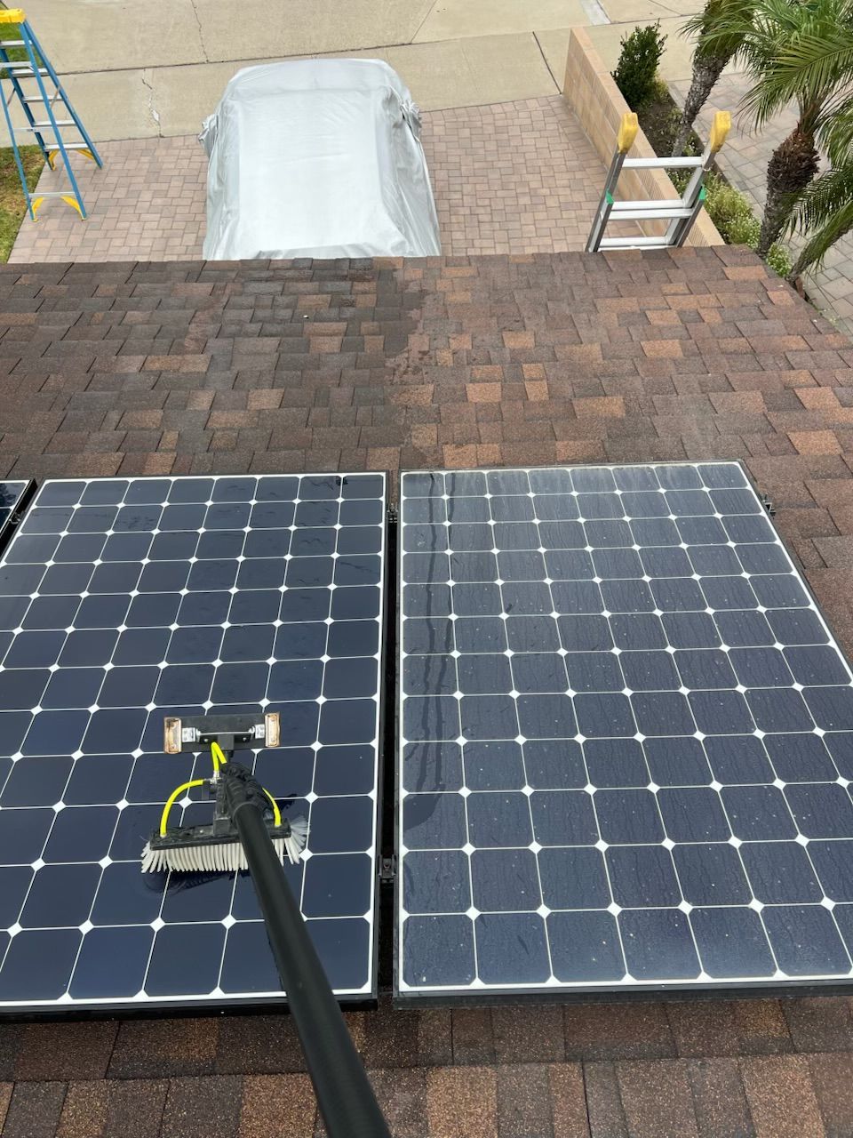 North Tustin CA, Foothill Ranch CA, Lake Forest CA, Rancho Santa Margarita CA, Mission Viejo CA, Aliso Viejo CA, Laguna Beach CA, Ladera Ranch CA, Rancho Mission Viejo CA, Clear View Window Care, Garden Grove CA, Huntington Beach CA, Yorktown Huntington Beach CA, Sunset Beach Huntington Beach CA, Corona Del Mar Newport Beach CA, Newport Beach CA, Balboa Island Newport Beach CA, Balboa Peninsula Newport Beach CA, Lido Isle CA, San Joaquin Hills CA, Costa Mesa CA, Belmont Shore Long Beach CA, Tustin CA, Irvine CA, Westminster CA, Fountain Valley CA, Seal Beach CA, Costa Mesa CA, Eastside Costa Mesa Costa Mesa CA, Westside Costa Mesa Costa Mesa CA, Window Cleaning, Orange County Window Cleaning, Garden Grove Window Cleaning, Huntington Beach Window Cleaning, Corona Del Mar Window Cleaning, Newport Beach Window Cleaning, San Joaquin Hills Window Cleaning, Costa Mesa Window Cleaning, Belmont Shores Window Cleaning, Tustin Window Cleaning, Irvine Window Cleaning, Westminster Window Cleaning, Fountain Valley Window Cleaning, Seal Beach Window Cleaning, Costa Mesa Window Cleaning, Window Cleaning Company, Residential Window Cleaning Company, Commercial Window Cleaning Company, Residential Window Cleaning, Commercial Window Cleaning, Window Cleaning Near Me, Window Cleaners Near Me, Screen Replacement, Orange County Screen Replacement, Garden Grove Screen Replacement, Huntington Beach Screen Replacement, Corona Del Mar Screen Replacement, Newport Beach Screen Replacement, San Joaquin Hills Screen Replacement, Costa Mesa Screen Replacement, Belmont Shores Screen Replacement, Tustin Screen Replacement, Irvine Screen Replacement, Westminster Screen Replacement, Fountain Valley Screen Replacement, Seal Beach Screen Replacement, Costa Mesa Screen Replacement, Screen Replacement Near Me, Window Screen Replacement, Window Screen Replacement Near Me, Door Screen Replacement, Door Screen Replacement Near Me, Residential Gutter Cleanout, Gutter Cleaning Near Me, Orange County Gutter Cleaning, Garden Grove Gutter Cleaning, Huntington Beach Gutter Cleaning, Corona Del mar Gutter Cleaning, Newport Beach Gutter Cleaning, San Joaquin Hills Gutter Cleaning, Costa Mesa Gutter Cleaning, Belmont Shores Gutter Cleaning, Tustin Gutter Cleaning, Irvine Gutter Cleaning, Westminster Gutter Cleaning, Fountain Valley Gutter Cleaning, Seal Beach Gutter Cleaning, Costa Mesa Gutter Cleaning, Residential Pressure Washing, Orange County Pressure Washing, Garden Grove Pressure Washing, Huntington Beach Pressure Washing, Corona Del Mar Pressure Washing, Newport Beach Pressure Washing, San Joaquin Hills Pressure Washing, Costa Mesa Pressure Washing, Belmont Shores Pressure Washing, Tustin Pressure Washing, Irvine Pressure Washing, Westminster Pressure Washing, Fountain Valley Pressure Washing, Seal Beach Pressure Washing, Costa Mesa Pressure Washing, Pressure Washing Near Me, House Wash, Pressure Washing Driveway, Pressure Washing Patio, Pressure Washing Walkway, Pressure Washing Sidewalk, Roof Cleaning, Solar Panel Cleaning, Residential Holiday Lighting, Commercial Holiday Lighting, Orange County Holiday Lighting, Garden Grove Holiday Lighting, Huntington Beach Holiday Lighting, Corona Del Mar Holiday Lighting, Newport Beach Holiday Lighting, San Joaquin Hills Holiday Lighting, Costa Mesa Holiday Lighting, Belmont Shores Holiday Lighting, Tustin Holiday Lighting, Irvine Holiday Lighting, Westminster Holiday Lighting, Fountain Valley Holiday Lighting, Seal Beach Holiday Lighting, Costa Mesa Holiday Lighting, Vinyl Fence Cleaning, Vinyl Fence Cleaning Near me