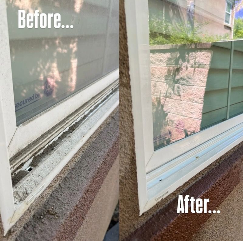 North Tustin CA, Foothill Ranch CA, Lake Forest CA, Rancho Santa Margarita CA, Mission Viejo CA, Aliso Viejo CA, Laguna Beach CA, Ladera Ranch CA, Rancho Mission Viejo CA, Clear View Window Care, Garden Grove CA, Huntington Beach CA, Yorktown Huntington Beach CA, Sunset Beach Huntington Beach CA, Corona Del Mar Newport Beach CA, Newport Beach CA, Balboa Island Newport Beach CA, Balboa Peninsula Newport Beach CA, Lido Isle CA, San Joaquin Hills CA, Costa Mesa CA, Belmont Shore Long Beach CA, Tustin CA, Irvine CA, Westminster CA, Fountain Valley CA, Seal Beach CA, Costa Mesa CA, Eastside Costa Mesa Costa Mesa CA, Westside Costa Mesa Costa Mesa CA, Window Cleaning, Orange County Window Cleaning, Garden Grove Window Cleaning, Huntington Beach Window Cleaning, Corona Del Mar Window Cleaning, Newport Beach Window Cleaning, San Joaquin Hills Window Cleaning, Costa Mesa Window Cleaning, Belmont Shores Window Cleaning, Tustin Window Cleaning, Irvine Window Cleaning, Westminster Window Cleaning, Fountain Valley Window Cleaning, Seal Beach Window Cleaning, Costa Mesa Window Cleaning, Window Cleaning Company, Residential Window Cleaning Company, Commercial Window Cleaning Company, Residential Window Cleaning, Commercial Window Cleaning, Window Cleaning Near Me, Window Cleaners Near Me, Screen Replacement, Orange County Screen Replacement, Garden Grove Screen Replacement, Huntington Beach Screen Replacement, Corona Del Mar Screen Replacement, Newport Beach Screen Replacement, San Joaquin Hills Screen Replacement, Costa Mesa Screen Replacement, Belmont Shores Screen Replacement, Tustin Screen Replacement, Irvine Screen Replacement, Westminster Screen Replacement, Fountain Valley Screen Replacement, Seal Beach Screen Replacement, Costa Mesa Screen Replacement, Screen Replacement Near Me, Window Screen Replacement, Window Screen Replacement Near Me, Door Screen Replacement, Door Screen Replacement Near Me, Residential Gutter Cleanout, Gutter Cleaning Near Me, Orange County Gutter Cleaning, Garden Grove Gutter Cleaning, Huntington Beach Gutter Cleaning, Corona Del mar Gutter Cleaning, Newport Beach Gutter Cleaning, San Joaquin Hills Gutter Cleaning, Costa Mesa Gutter Cleaning, Belmont Shores Gutter Cleaning, Tustin Gutter Cleaning, Irvine Gutter Cleaning, Westminster Gutter Cleaning, Fountain Valley Gutter Cleaning, Seal Beach Gutter Cleaning, Costa Mesa Gutter Cleaning, Residential Pressure Washing, Orange County Pressure Washing, Garden Grove Pressure Washing, Huntington Beach Pressure Washing, Corona Del Mar Pressure Washing, Newport Beach Pressure Washing, San Joaquin Hills Pressure Washing, Costa Mesa Pressure Washing, Belmont Shores Pressure Washing, Tustin Pressure Washing, Irvine Pressure Washing, Westminster Pressure Washing, Fountain Valley Pressure Washing, Seal Beach Pressure Washing, Costa Mesa Pressure Washing, Pressure Washing Near Me, House Wash, Pressure Washing Driveway, Pressure Washing Patio, Pressure Washing Walkway, Pressure Washing Sidewalk, Roof Cleaning, Solar Panel Cleaning, Residential Holiday Lighting, Commercial Holiday Lighting, Orange County Holiday Lighting, Garden Grove Holiday Lighting, Huntington Beach Holiday Lighting, Corona Del Mar Holiday Lighting, Newport Beach Holiday Lighting, San Joaquin Hills Holiday Lighting, Costa Mesa Holiday Lighting, Belmont Shores Holiday Lighting, Tustin Holiday Lighting, Irvine Holiday Lighting, Westminster Holiday Lighting, Fountain Valley Holiday Lighting, Seal Beach Holiday Lighting, Costa Mesa Holiday Lighting, Vinyl Fence Cleaning, Vinyl Fence Cleaning Near me