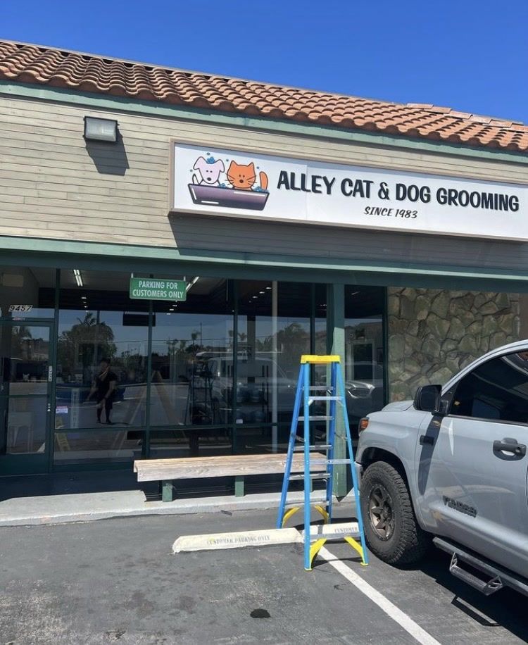 North Tustin CA, Foothill Ranch CA, Lake Forest CA, Rancho Santa Margarita CA, Mission Viejo CA, Aliso Viejo CA, Laguna Beach CA, Ladera Ranch CA, Rancho Mission Viejo CA, Clear View Window Care, Garden Grove CA, Huntington Beach CA, Yorktown Huntington Beach CA, Sunset Beach Huntington Beach CA, Corona Del Mar Newport Beach CA, Newport Beach CA, Balboa Island Newport Beach CA, Balboa Peninsula Newport Beach CA, Lido Isle CA, San Joaquin Hills CA, Costa Mesa CA, Belmont Shore Long Beach CA, Tustin CA, Irvine CA, Westminster CA, Fountain Valley CA, Seal Beach CA, Costa Mesa CA, Eastside Costa Mesa Costa Mesa CA, Westside Costa Mesa Costa Mesa CA, Window Cleaning, Orange County Window Cleaning, Garden Grove Window Cleaning, Huntington Beach Window Cleaning, Corona Del Mar Window Cleaning, Newport Beach Window Cleaning, San Joaquin Hills Window Cleaning, Costa Mesa Window Cleaning, Belmont Shores Window Cleaning, Tustin Window Cleaning, Irvine Window Cleaning, Westminster Window Cleaning, Fountain Valley Window Cleaning, Seal Beach Window Cleaning, Costa Mesa Window Cleaning, Window Cleaning Company, Residential Window Cleaning Company, Commercial Window Cleaning Company, Residential Window Cleaning, Commercial Window Cleaning, Window Cleaning Near Me, Window Cleaners Near Me, Screen Replacement, Orange County Screen Replacement, Garden Grove Screen Replacement, Huntington Beach Screen Replacement, Corona Del Mar Screen Replacement, Newport Beach Screen Replacement, San Joaquin Hills Screen Replacement, Costa Mesa Screen Replacement, Belmont Shores Screen Replacement, Tustin Screen Replacement, Irvine Screen Replacement, Westminster Screen Replacement, Fountain Valley Screen Replacement, Seal Beach Screen Replacement, Costa Mesa Screen Replacement, Screen Replacement Near Me, Window Screen Replacement, Window Screen Replacement Near Me, Door Screen Replacement, Door Screen Replacement Near Me, Residential Gutter Cleanout, Gutter Cleaning Near Me, Orange County Gutter Cleaning, Garden Grove Gutter Cleaning, Huntington Beach Gutter Cleaning, Corona Del mar Gutter Cleaning, Newport Beach Gutter Cleaning, San Joaquin Hills Gutter Cleaning, Costa Mesa Gutter Cleaning, Belmont Shores Gutter Cleaning, Tustin Gutter Cleaning, Irvine Gutter Cleaning, Westminster Gutter Cleaning, Fountain Valley Gutter Cleaning, Seal Beach Gutter Cleaning, Costa Mesa Gutter Cleaning, Residential Pressure Washing, Orange County Pressure Washing, Garden Grove Pressure Washing, Huntington Beach Pressure Washing, Corona Del Mar Pressure Washing, Newport Beach Pressure Washing, San Joaquin Hills Pressure Washing, Costa Mesa Pressure Washing, Belmont Shores Pressure Washing, Tustin Pressure Washing, Irvine Pressure Washing, Westminster Pressure Washing, Fountain Valley Pressure Washing, Seal Beach Pressure Washing, Costa Mesa Pressure Washing, Pressure Washing Near Me, House Wash, Pressure Washing Driveway, Pressure Washing Patio, Pressure Washing Walkway, Pressure Washing Sidewalk, Roof Cleaning, Solar Panel Cleaning, Residential Holiday Lighting, Commercial Holiday Lighting, Orange County Holiday Lighting, Garden Grove Holiday Lighting, Huntington Beach Holiday Lighting, Corona Del Mar Holiday Lighting, Newport Beach Holiday Lighting, San Joaquin Hills Holiday Lighting, Costa Mesa Holiday Lighting, Belmont Shores Holiday Lighting, Tustin Holiday Lighting, Irvine Holiday Lighting, Westminster Holiday Lighting, Fountain Valley Holiday Lighting, Seal Beach Holiday Lighting, Costa Mesa Holiday Lighting, Vinyl Fence Cleaning, Vinyl Fence Cleaning Near me