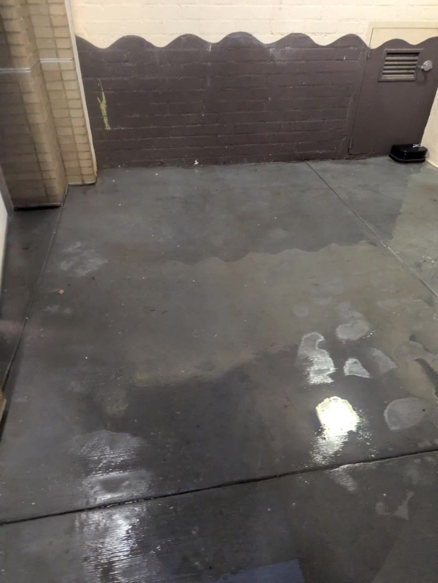 North Tustin CA, Foothill Ranch CA, Lake Forest CA, Rancho Santa Margarita CA, Mission Viejo CA, Aliso Viejo CA, Laguna Beach CA, Ladera Ranch CA, Rancho Mission Viejo CA, Clear View Window Care, Garden Grove CA, Huntington Beach CA, Yorktown Huntington Beach CA, Sunset Beach Huntington Beach CA, Corona Del Mar Newport Beach CA, Newport Beach CA, Balboa Island Newport Beach CA, Balboa Peninsula Newport Beach CA, Lido Isle CA, San Joaquin Hills CA, Costa Mesa CA, Belmont Shore Long Beach CA, Tustin CA, Irvine CA, Westminster CA, Fountain Valley CA, Seal Beach CA, Costa Mesa CA, Eastside Costa Mesa Costa Mesa CA, Westside Costa Mesa Costa Mesa CA, Window Cleaning, Orange County Window Cleaning, Garden Grove Window Cleaning, Huntington Beach Window Cleaning, Corona Del Mar Window Cleaning, Newport Beach Window Cleaning, San Joaquin Hills Window Cleaning, Costa Mesa Window Cleaning, Belmont Shores Window Cleaning, Tustin Window Cleaning, Irvine Window Cleaning, Westminster Window Cleaning, Fountain Valley Window Cleaning, Seal Beach Window Cleaning, Costa Mesa Window Cleaning, Window Cleaning Company, Residential Window Cleaning Company, Commercial Window Cleaning Company, Residential Window Cleaning, Commercial Window Cleaning, Window Cleaning Near Me, Window Cleaners Near Me, Screen Replacement, Orange County Screen Replacement, Garden Grove Screen Replacement, Huntington Beach Screen Replacement, Corona Del Mar Screen Replacement, Newport Beach Screen Replacement, San Joaquin Hills Screen Replacement, Costa Mesa Screen Replacement, Belmont Shores Screen Replacement, Tustin Screen Replacement, Irvine Screen Replacement, Westminster Screen Replacement, Fountain Valley Screen Replacement, Seal Beach Screen Replacement, Costa Mesa Screen Replacement, Screen Replacement Near Me, Window Screen Replacement, Window Screen Replacement Near Me, Door Screen Replacement, Door Screen Replacement Near Me, Residential Gutter Cleanout, Gutter Cleaning Near Me, Orange County Gutter Cleaning, Garden Grove Gutter Cleaning, Huntington Beach Gutter Cleaning, Corona Del mar Gutter Cleaning, Newport Beach Gutter Cleaning, San Joaquin Hills Gutter Cleaning, Costa Mesa Gutter Cleaning, Belmont Shores Gutter Cleaning, Tustin Gutter Cleaning, Irvine Gutter Cleaning, Westminster Gutter Cleaning, Fountain Valley Gutter Cleaning, Seal Beach Gutter Cleaning, Costa Mesa Gutter Cleaning, Residential Pressure Washing, Orange County Pressure Washing, Garden Grove Pressure Washing, Huntington Beach Pressure Washing, Corona Del Mar Pressure Washing, Newport Beach Pressure Washing, San Joaquin Hills Pressure Washing, Costa Mesa Pressure Washing, Belmont Shores Pressure Washing, Tustin Pressure Washing, Irvine Pressure Washing, Westminster Pressure Washing, Fountain Valley Pressure Washing, Seal Beach Pressure Washing, Costa Mesa Pressure Washing, Pressure Washing Near Me, House Wash, Pressure Washing Driveway, Pressure Washing Patio, Pressure Washing Walkway, Pressure Washing Sidewalk, Roof Cleaning, Solar Panel Cleaning, Residential Holiday Lighting, Commercial Holiday Lighting, Orange County Holiday Lighting, Garden Grove Holiday Lighting, Huntington Beach Holiday Lighting, Corona Del Mar Holiday Lighting, Newport Beach Holiday Lighting, San Joaquin Hills Holiday Lighting, Costa Mesa Holiday Lighting, Belmont Shores Holiday Lighting, Tustin Holiday Lighting, Irvine Holiday Lighting, Westminster Holiday Lighting, Fountain Valley Holiday Lighting, Seal Beach Holiday Lighting, Costa Mesa Holiday Lighting, Vinyl Fence Cleaning, Vinyl Fence Cleaning Near me