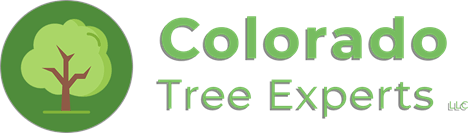 Colorado Tree Experts