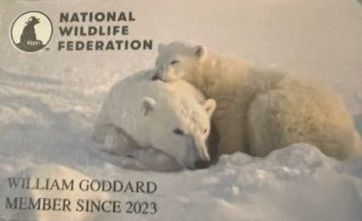A national wildlife federation card with two polar bears on it