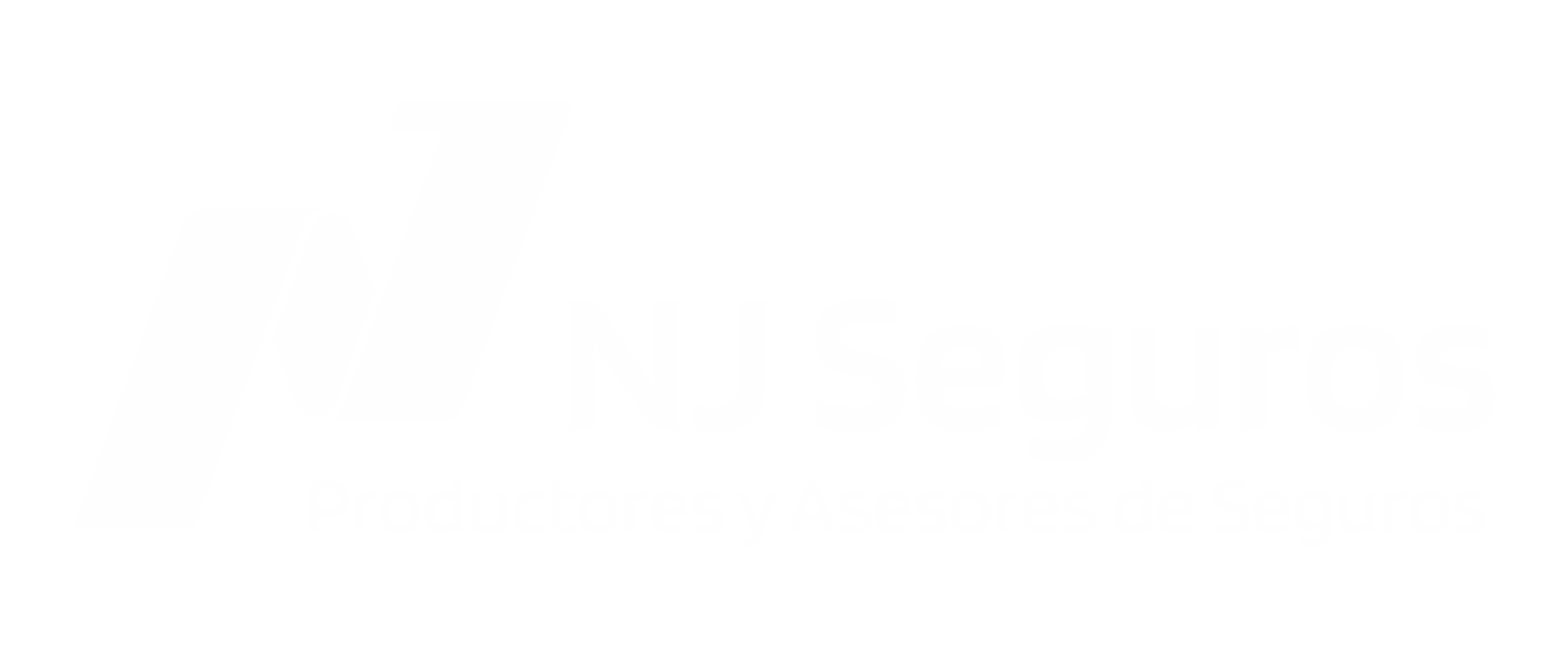 NJ seguros