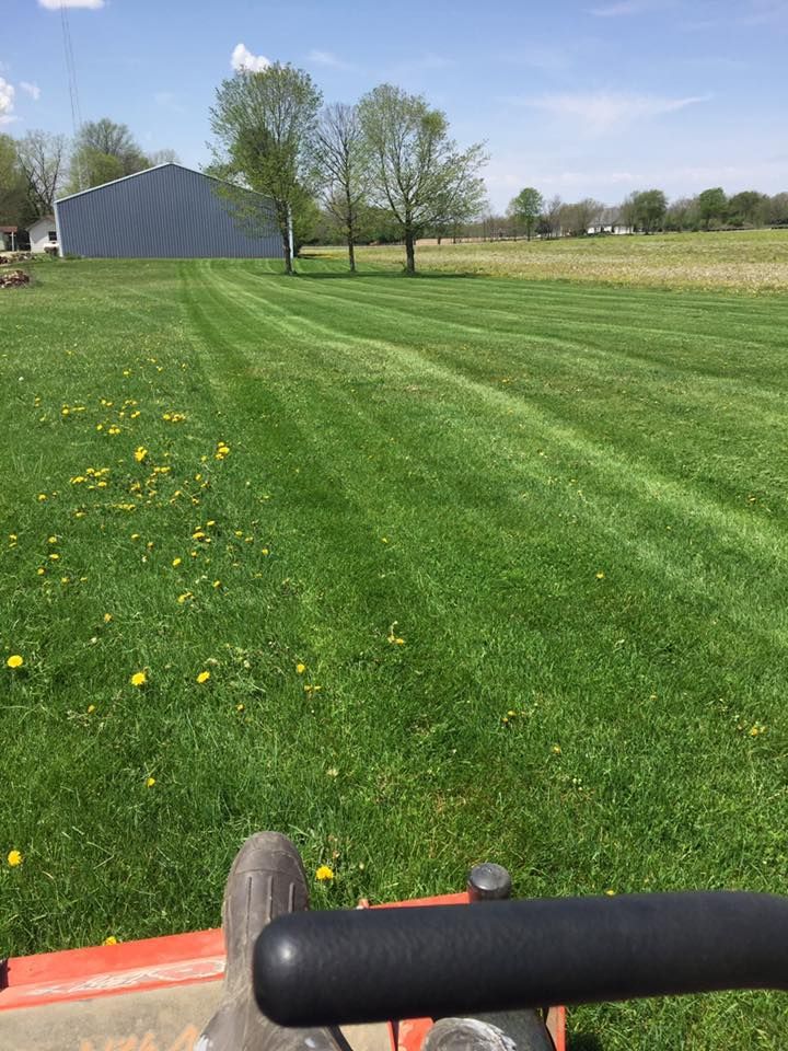A lawnmower cutting a green lawn with a building and trees in the background on a sunny day.
