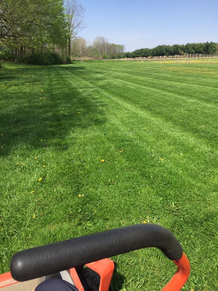 A person mowing a large green lawn with a riding mower on a sunny day.
