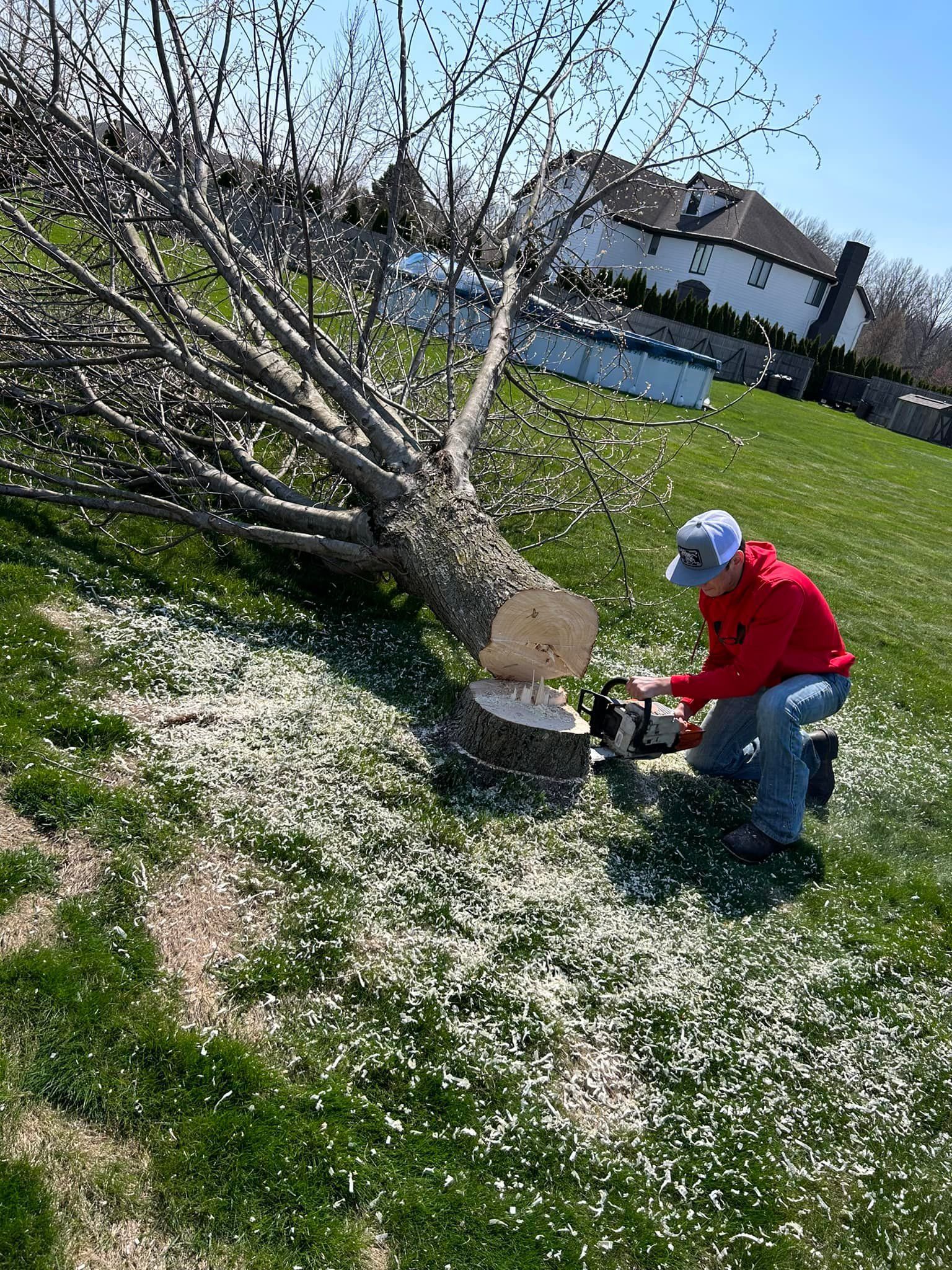 Man cutting a tree trunk with a chainsaw on a grassy lawn.