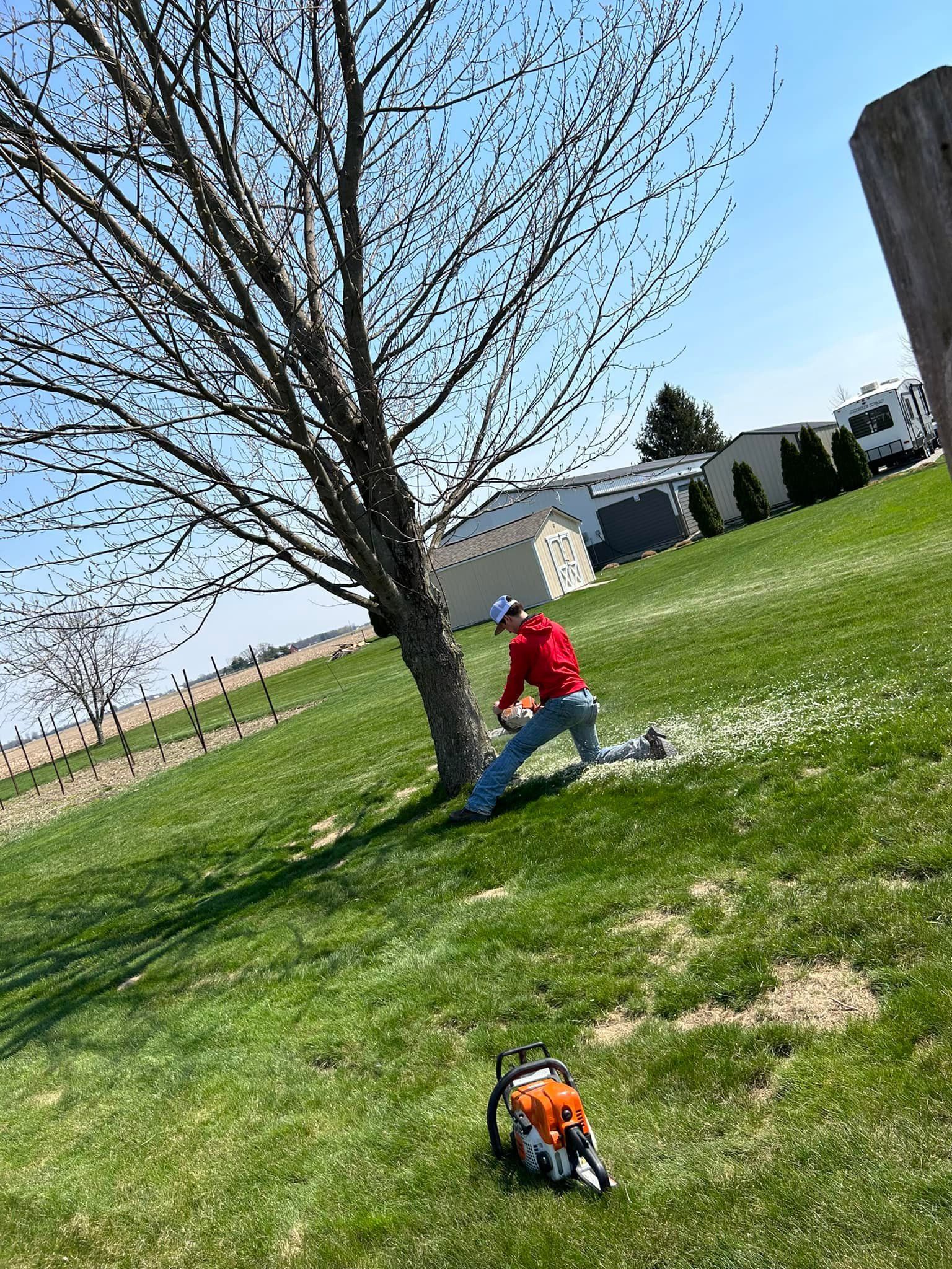 Person cutting down a tree on a grassy hill with a chainsaw on a sunny day.