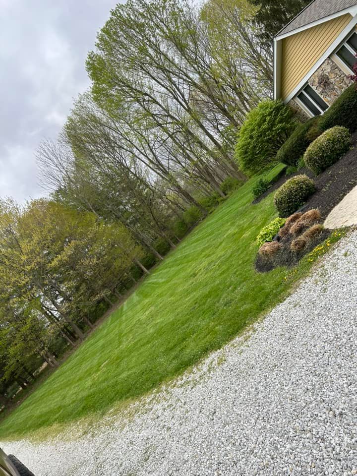 Green lawn slopes up, bordered by trees and a gravel driveway. A yellow house with bushes sits to the right.