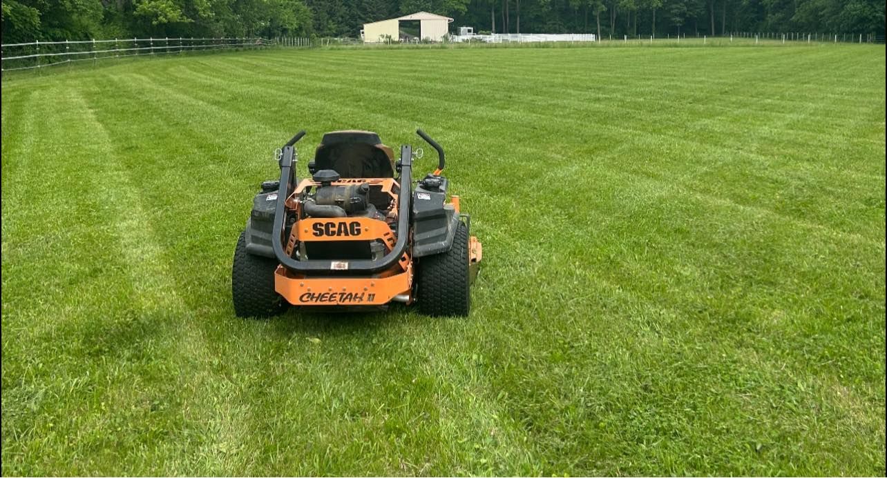 Lawn with fresh mower stripes next to a gravel driveway. Trees and overcast sky.