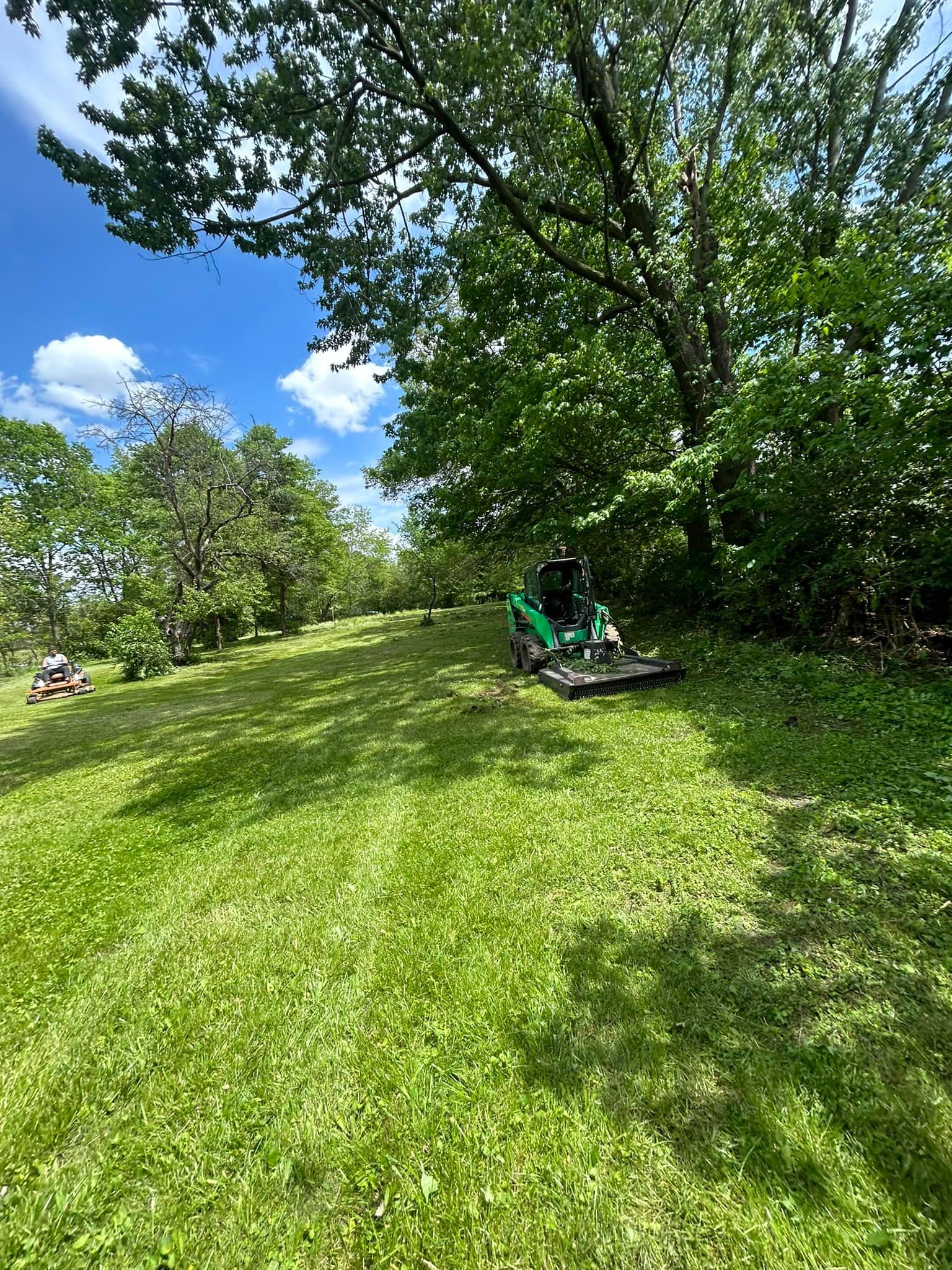 Lawn being mowed with a green mower under a tree on a sunny day.