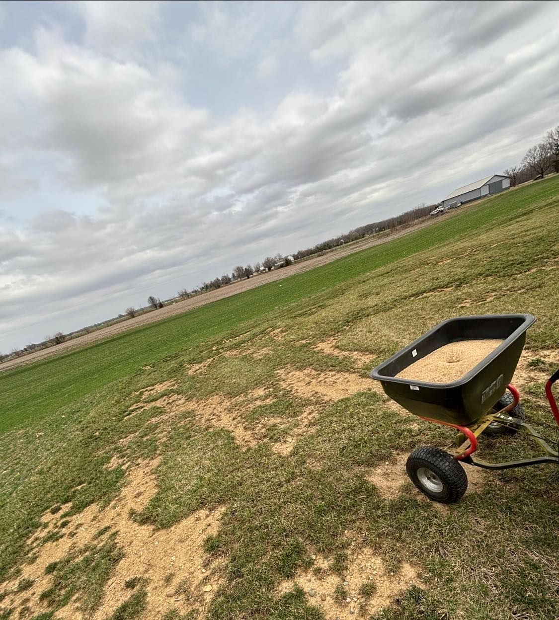 A fertilizer spreader on a green field, spreading brown material under a cloudy sky.