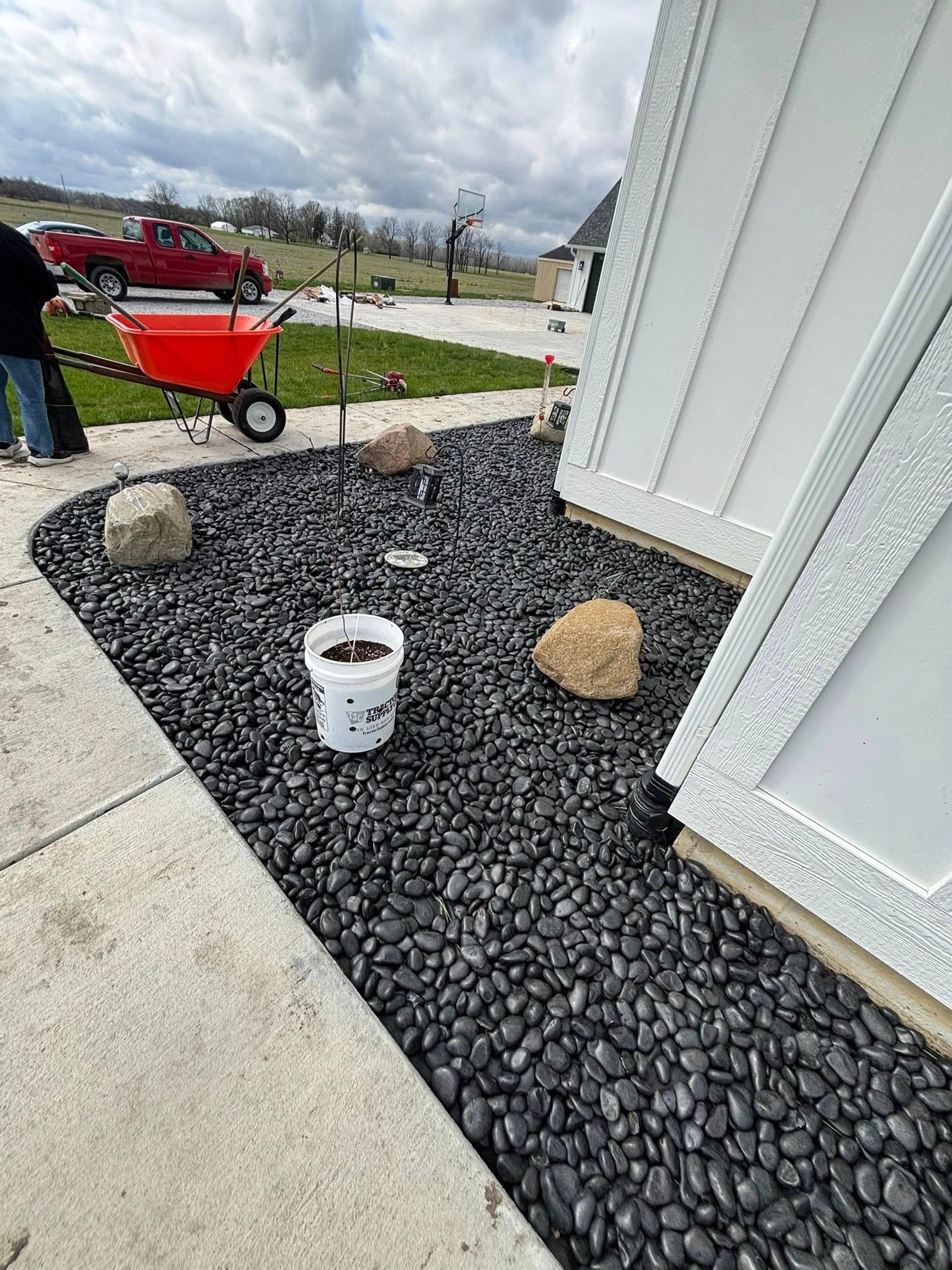 Black rock landscaping with a newly planted tree near a white structure, red wheelbarrow in background.