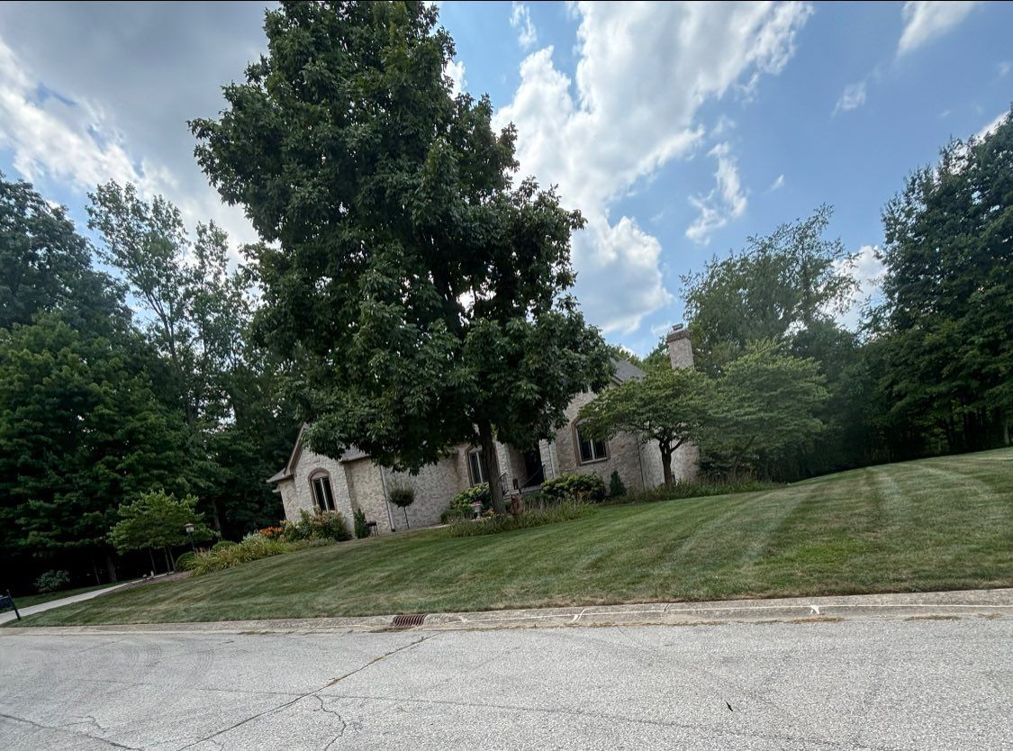 House nestled on a hillside, partially obscured by trees. Green lawn slopes downward to a paved street, blue sky overhead.